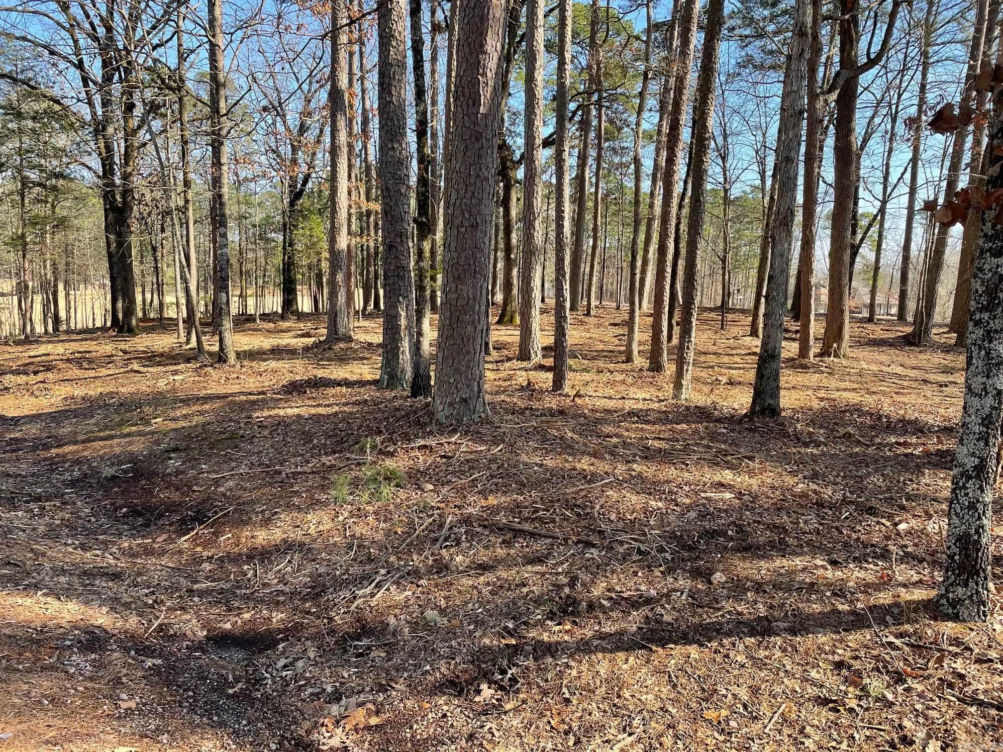 28  Granada  Hot Springs Village, AR