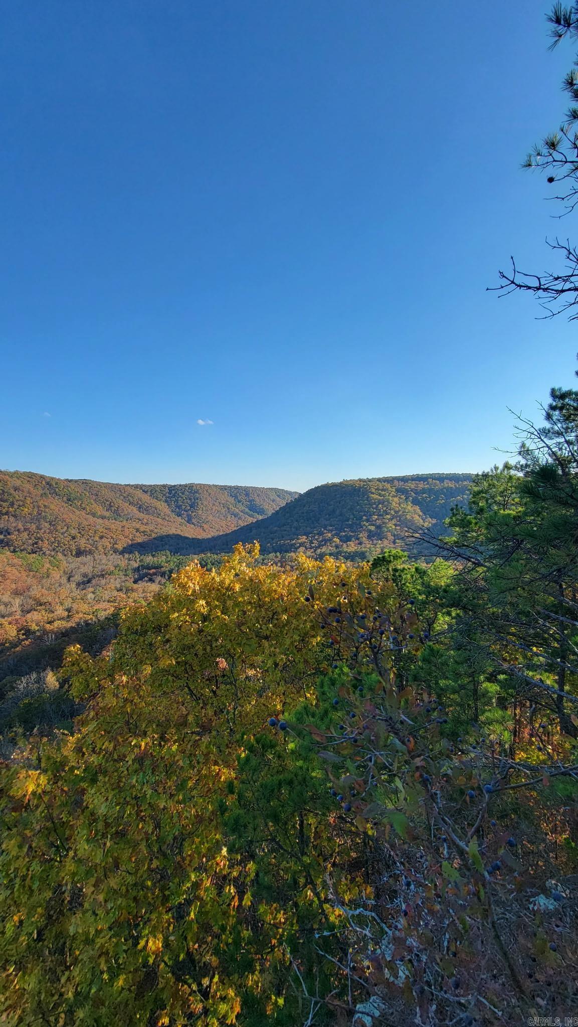 2388  McElroy  Fox, AR
