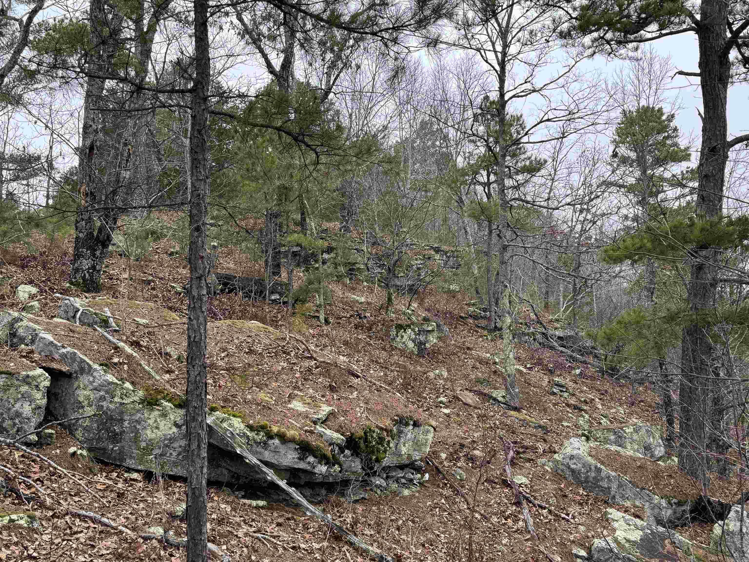 2388  McElroy  Fox, AR