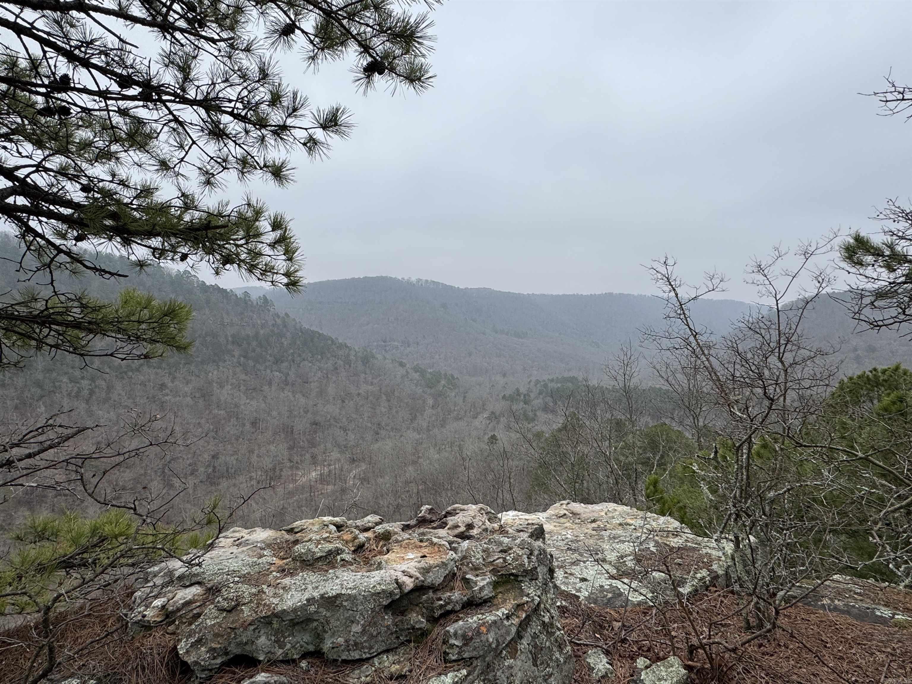 2388  McElroy  Fox, AR