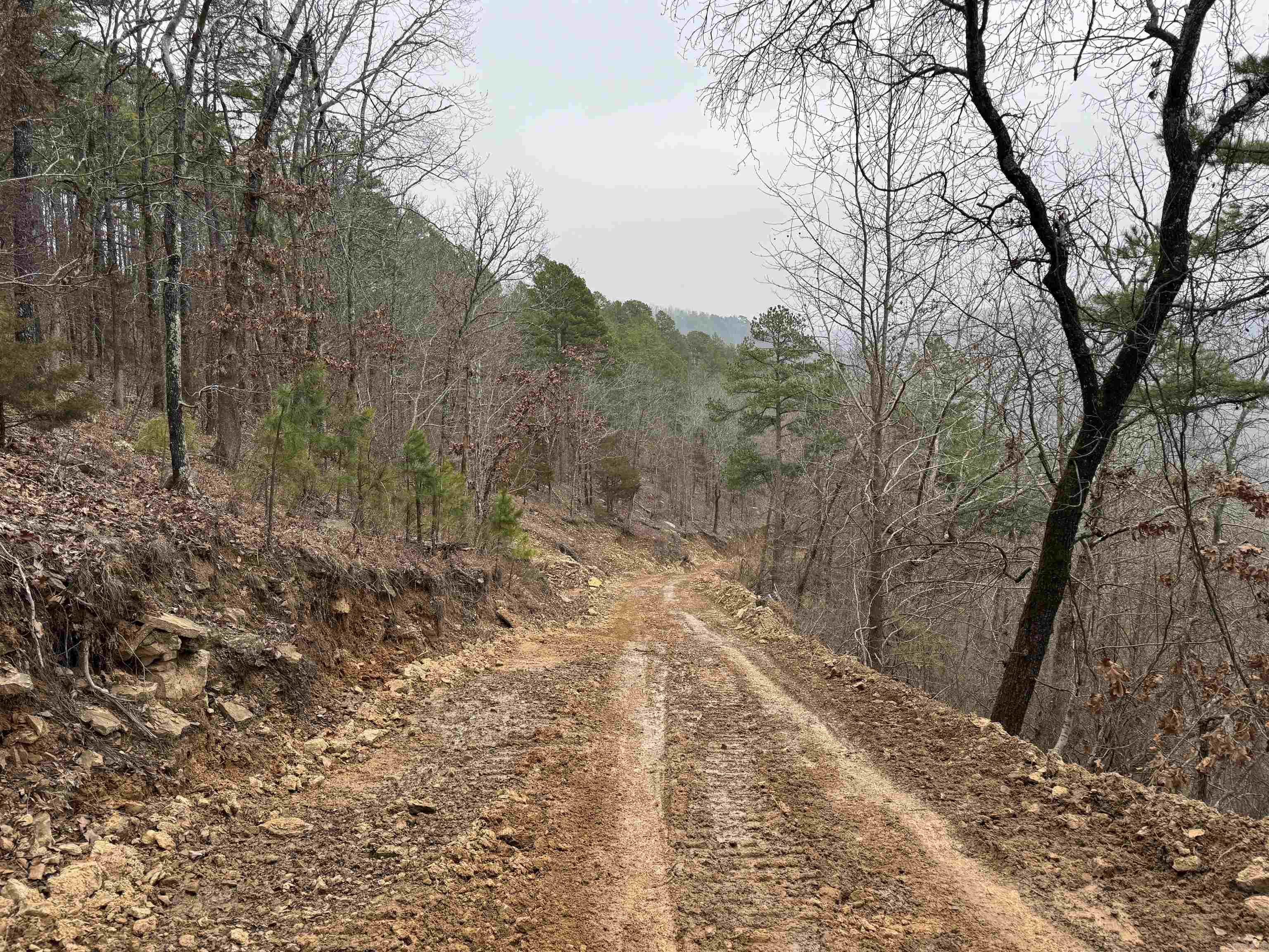 2388  McElroy  Fox, AR