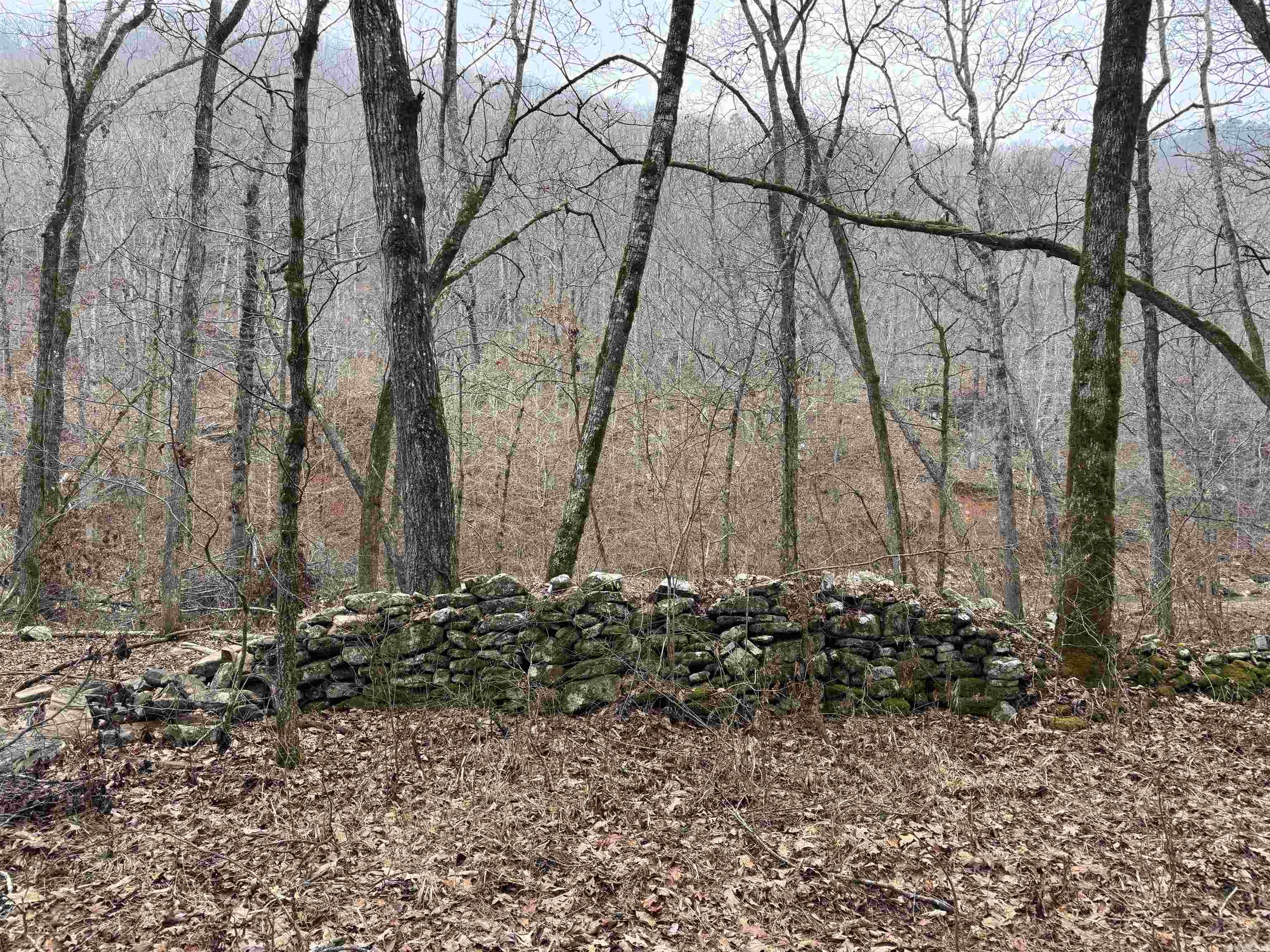 2388  McElroy  Fox, AR