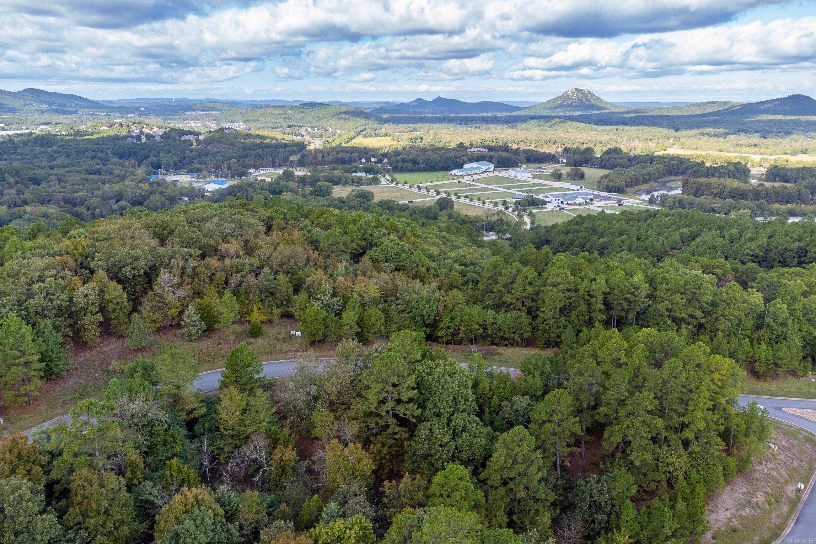 15015  Beau Vue Drive  Little Rock, AR