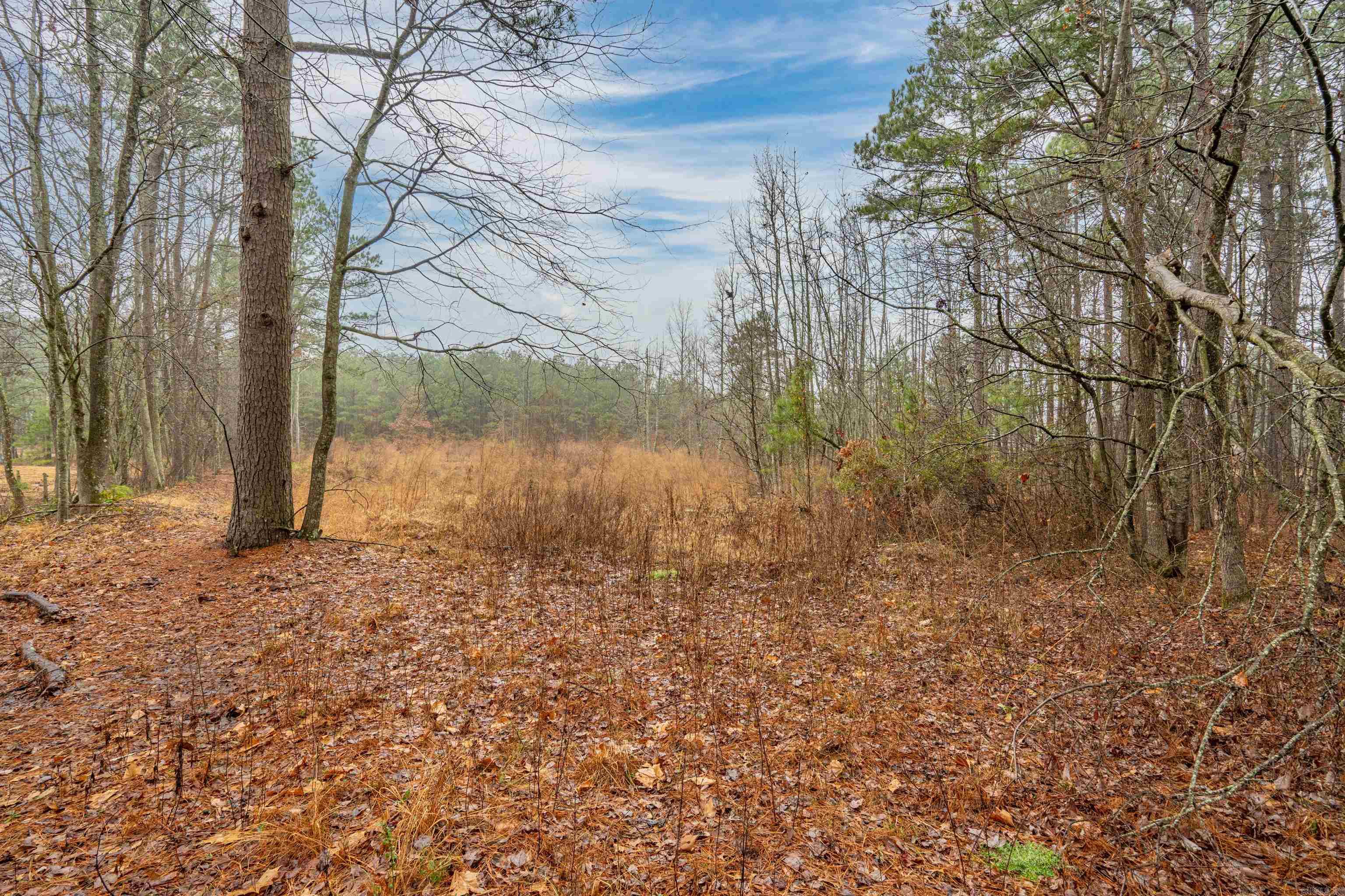 11  Ware  Arkadelphia, AR