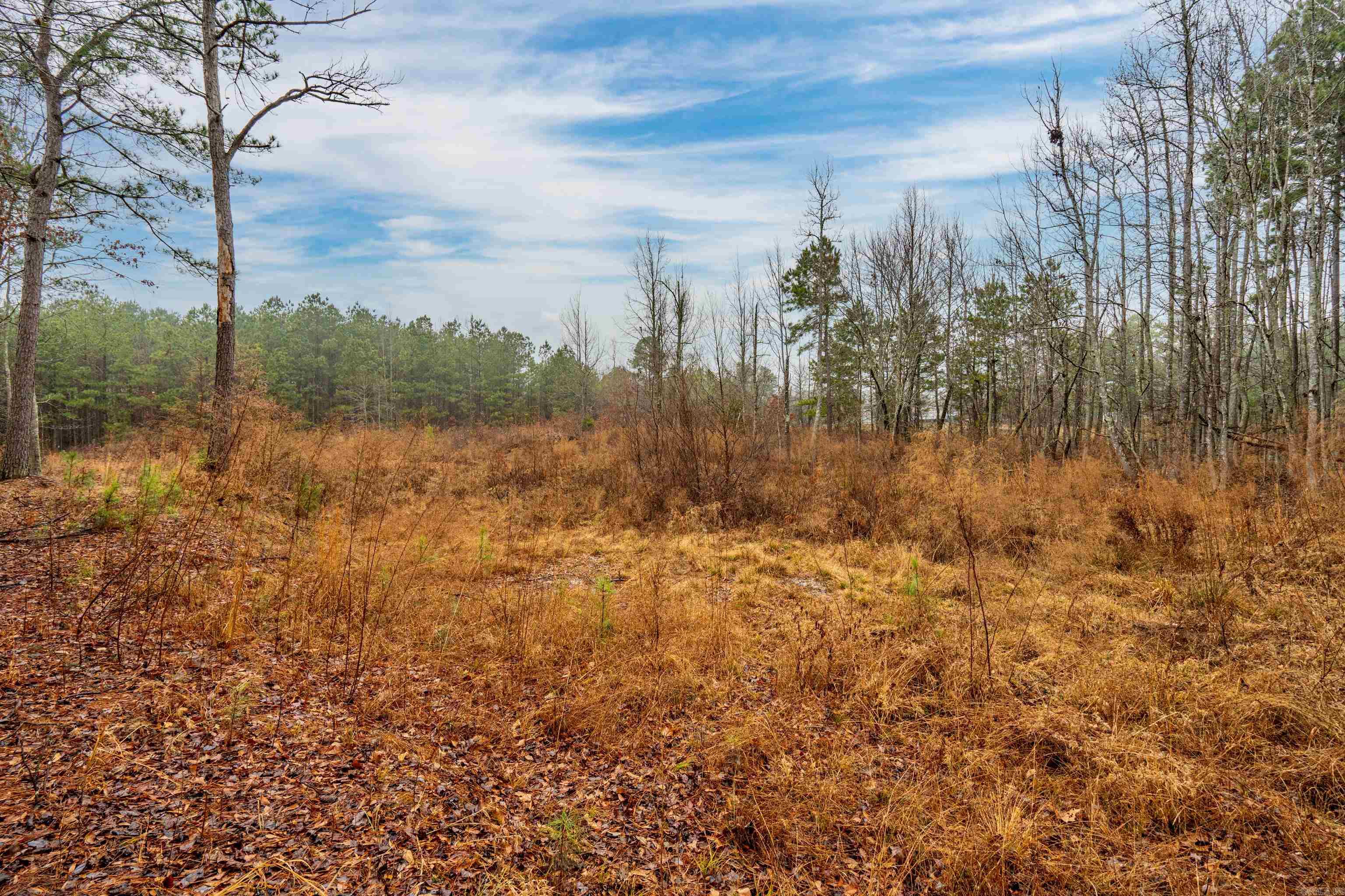 11  Ware  Arkadelphia, AR