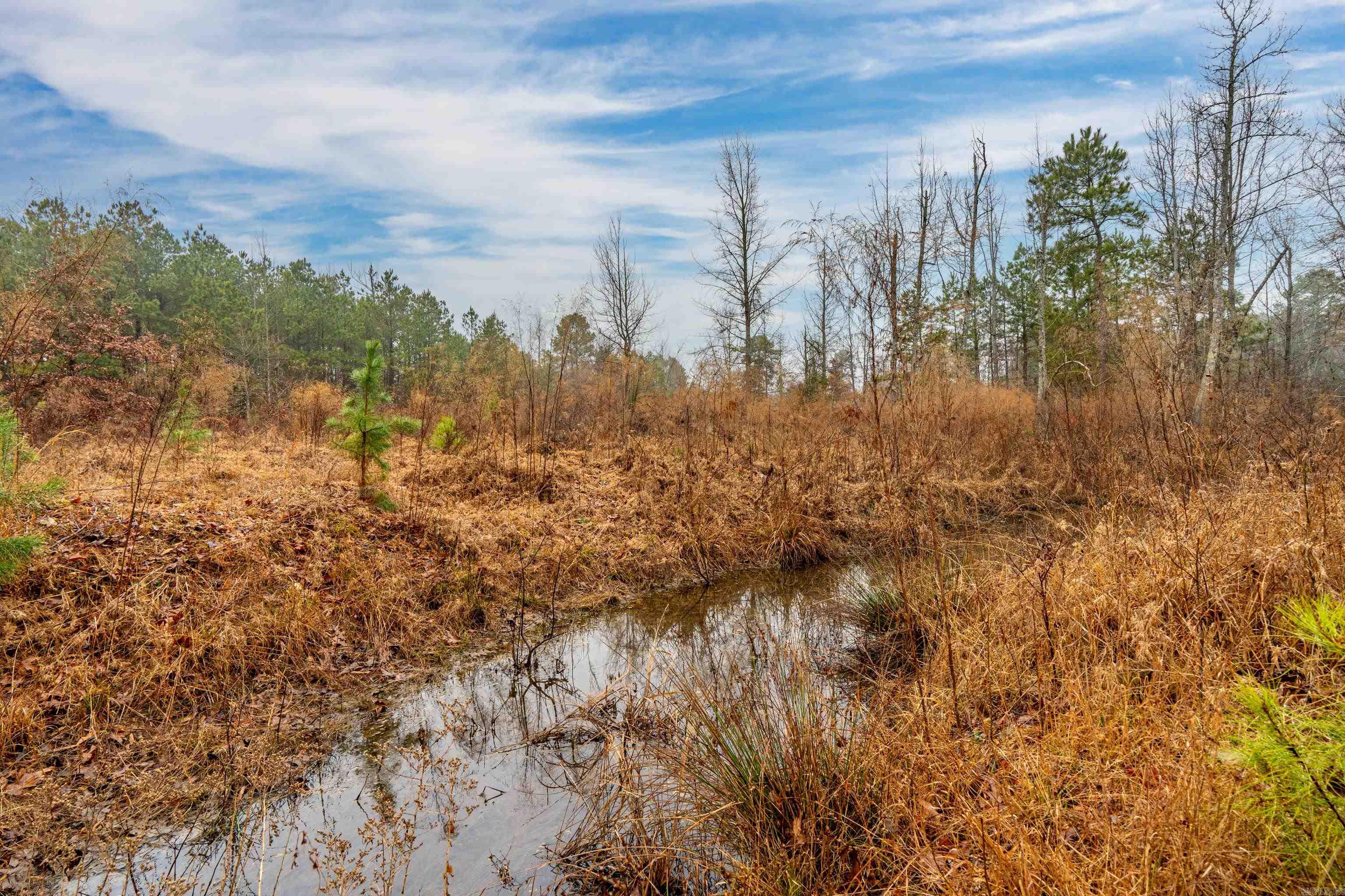 11  Ware  Arkadelphia, AR