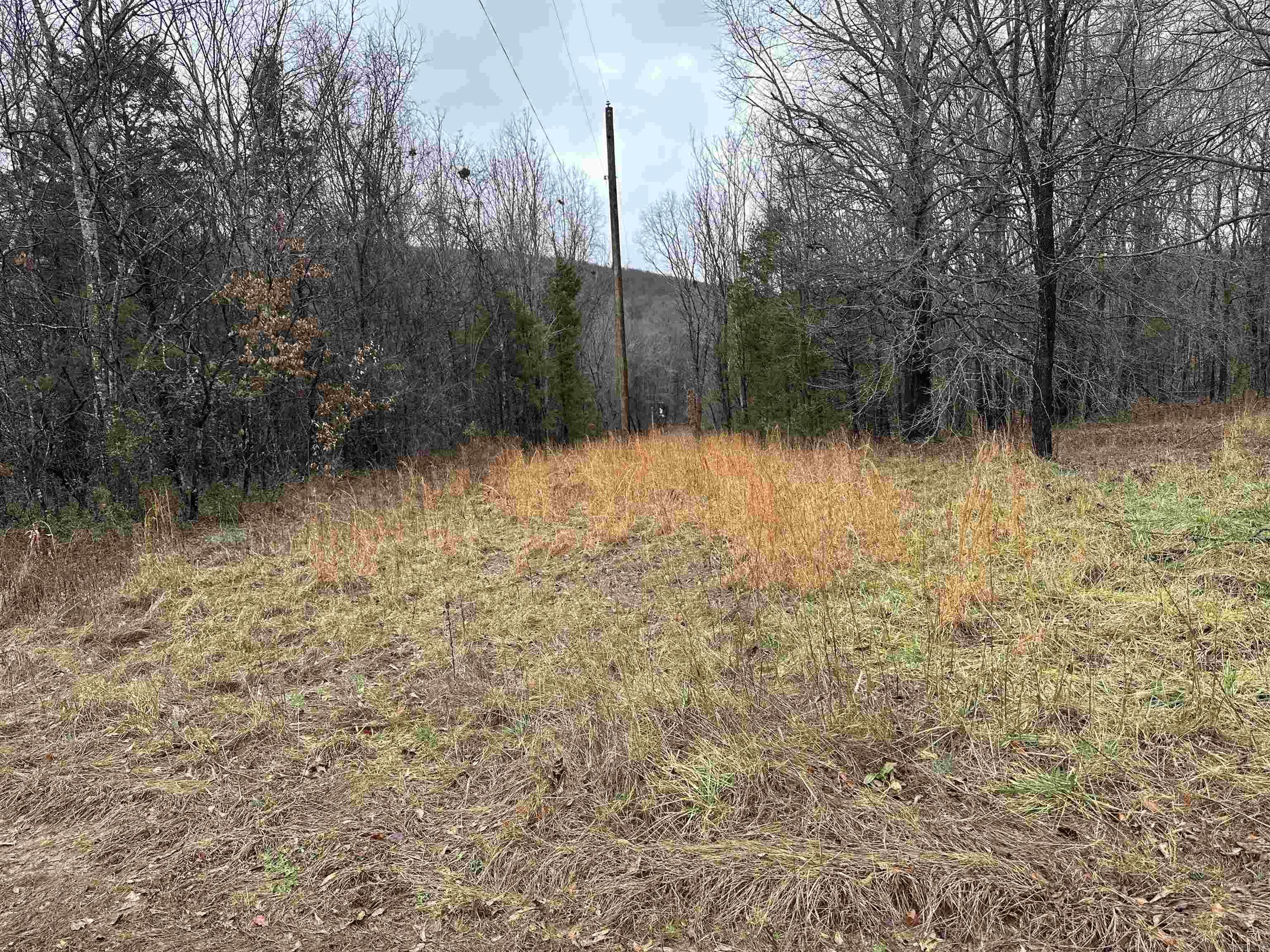 305  Loop Road  Locust Grove, AR