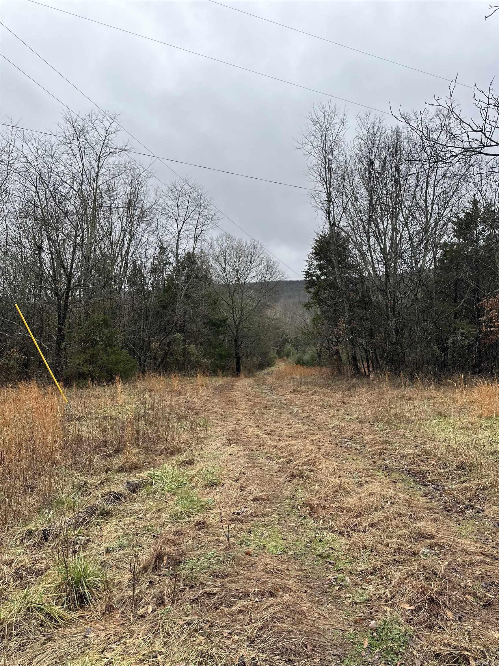 305  Loop Road  Locust Grove, AR