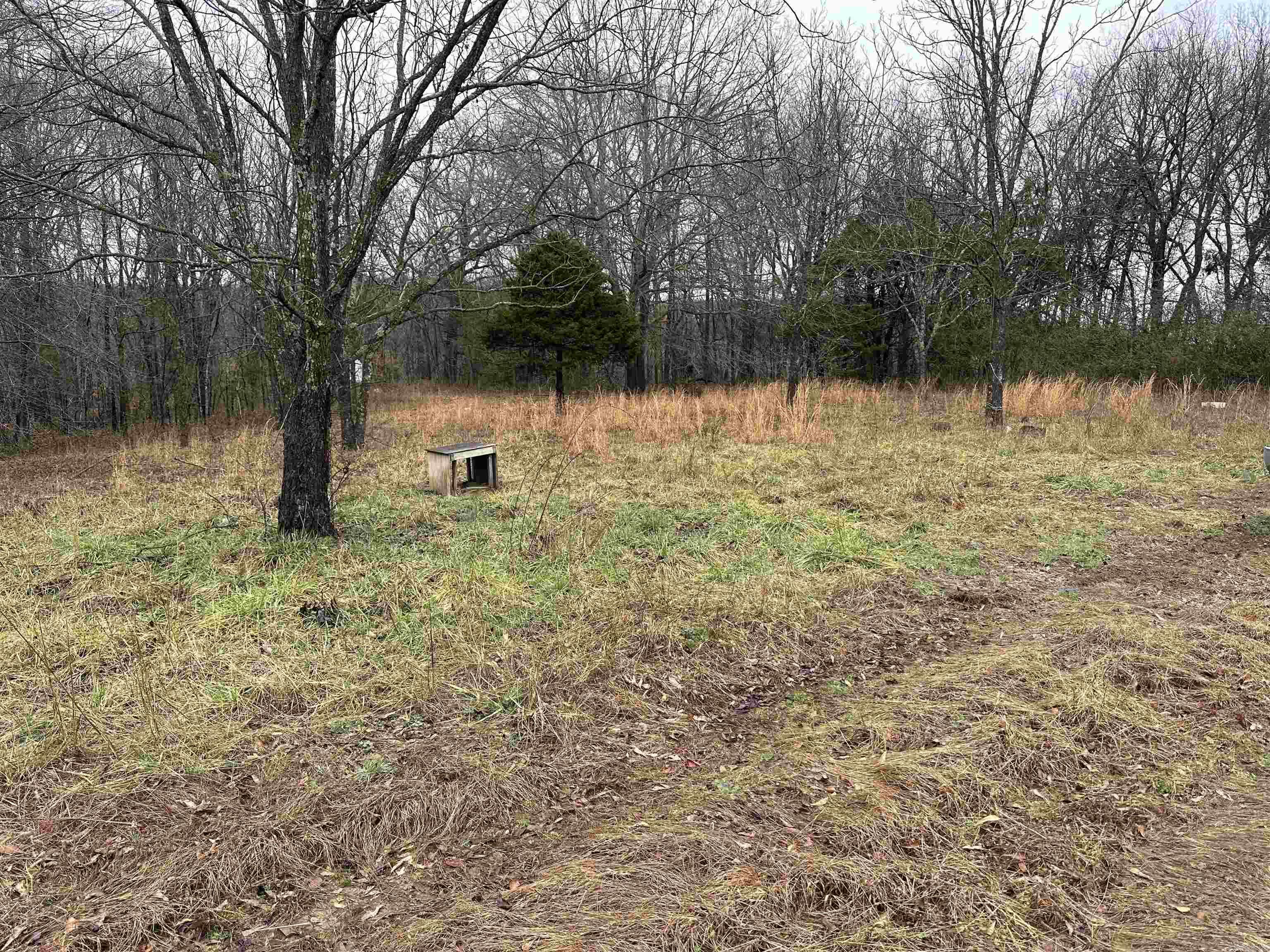 305  Loop Road  Locust Grove, AR
