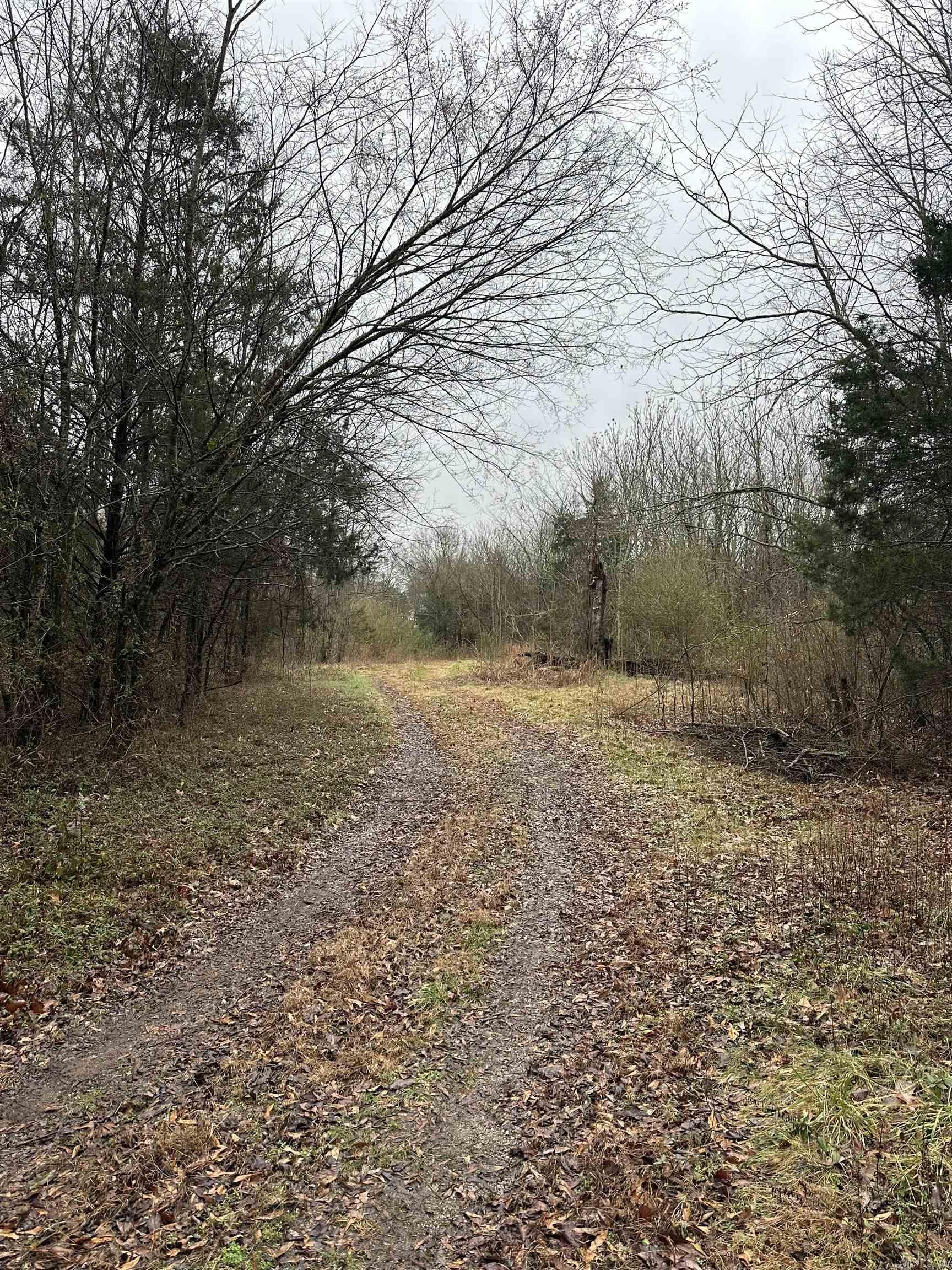 305  Loop Road  Locust Grove, AR