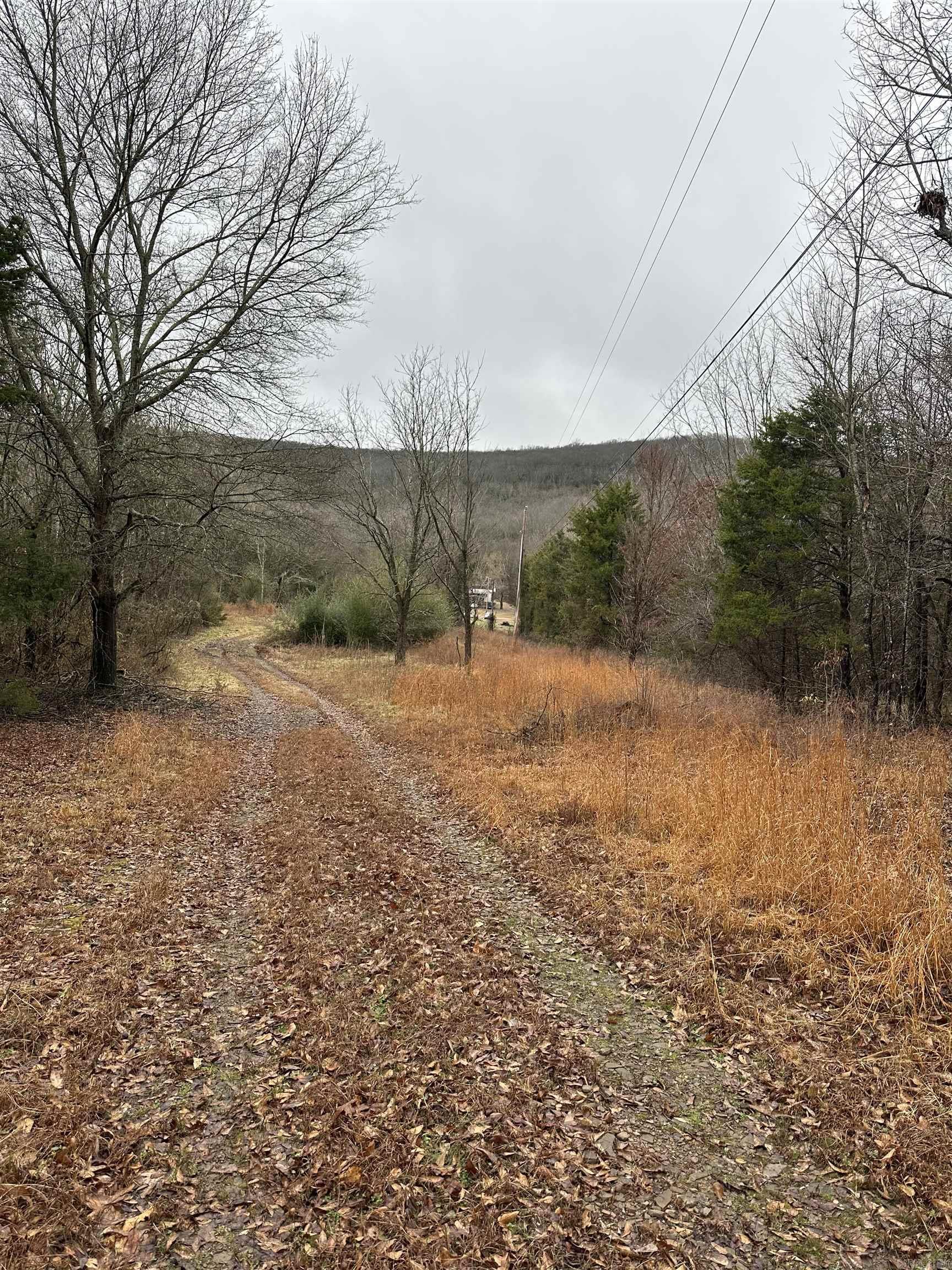 305  Loop Road  Locust Grove, AR