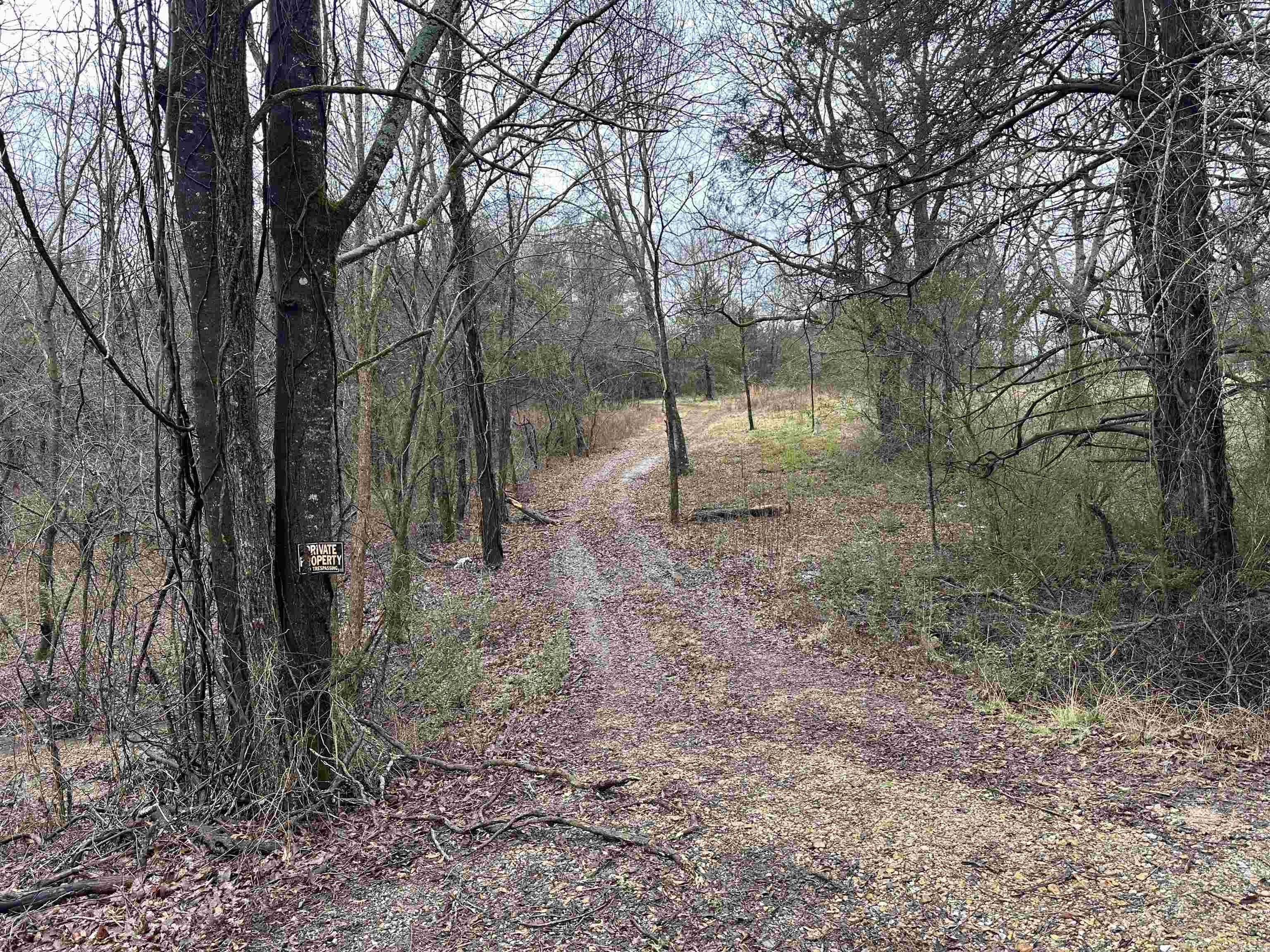 305  Loop Road  Locust Grove, AR