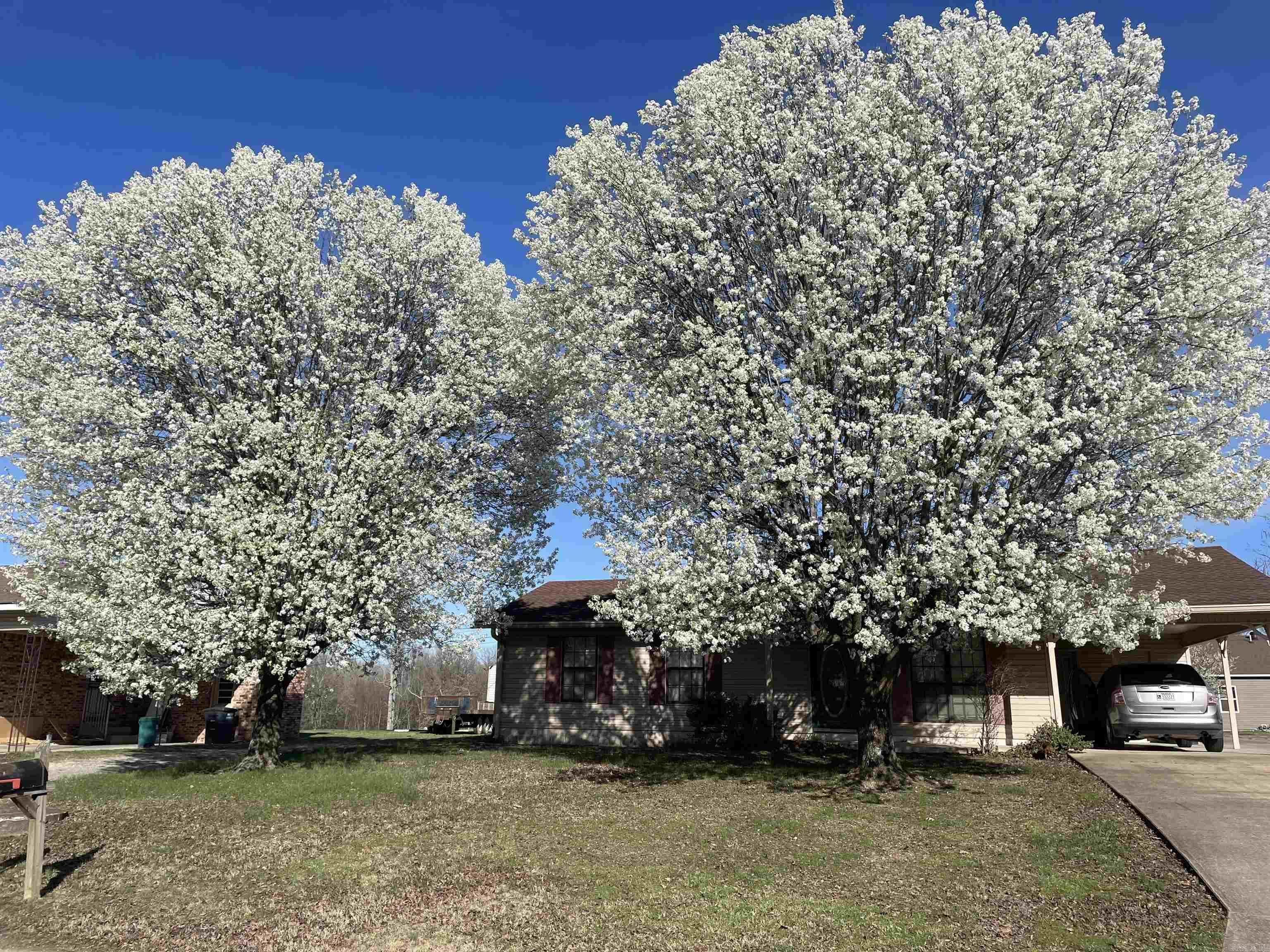435  Ann  Piggott, AR