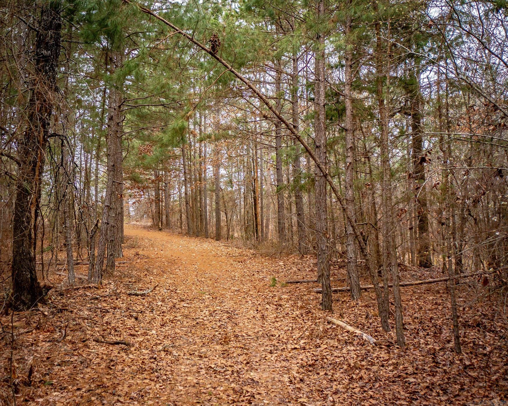 136  Private Road 1094  Fouke, AR