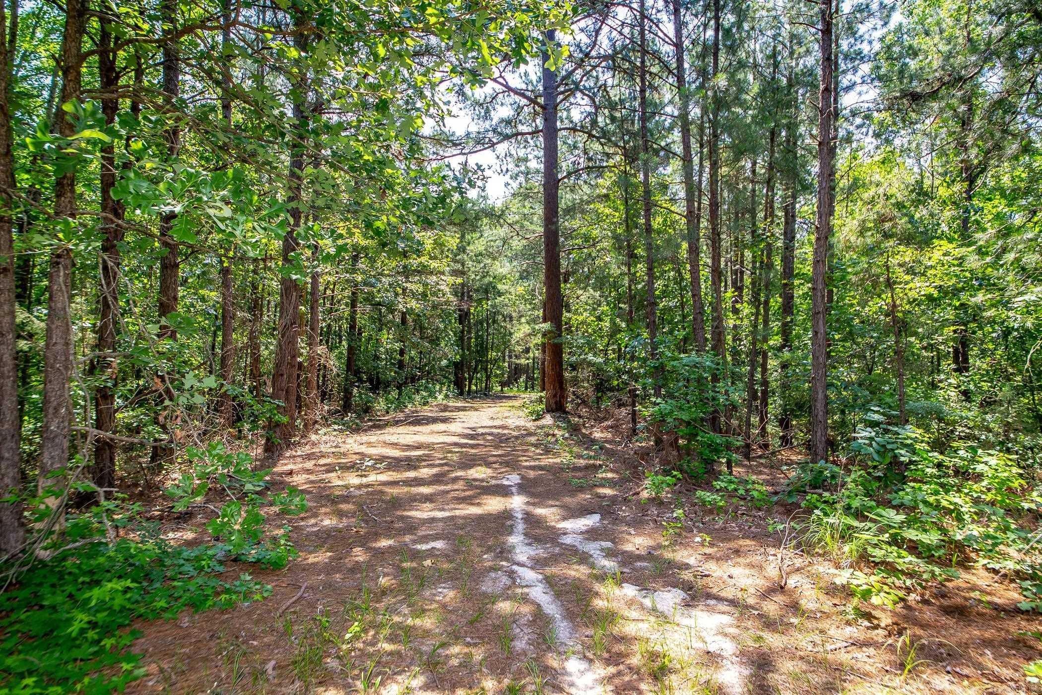 136 Private Road 1094  Fouke, AR