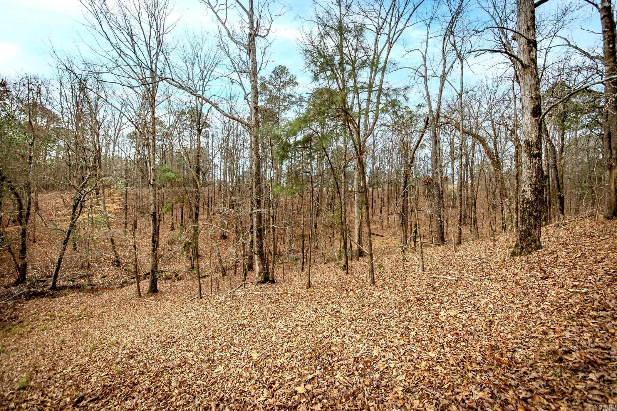 136  Private Road 1094  Fouke, AR