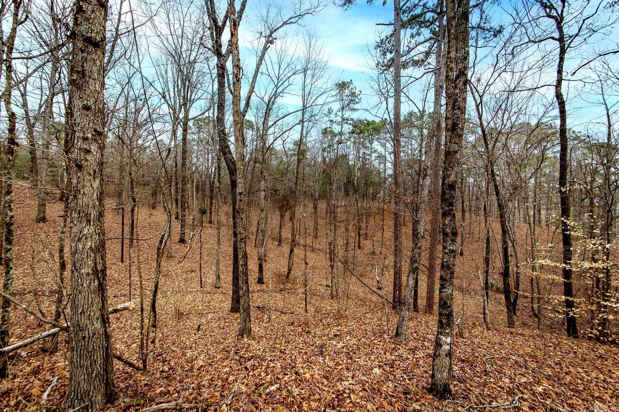 136  Private Road 1094  Fouke, AR