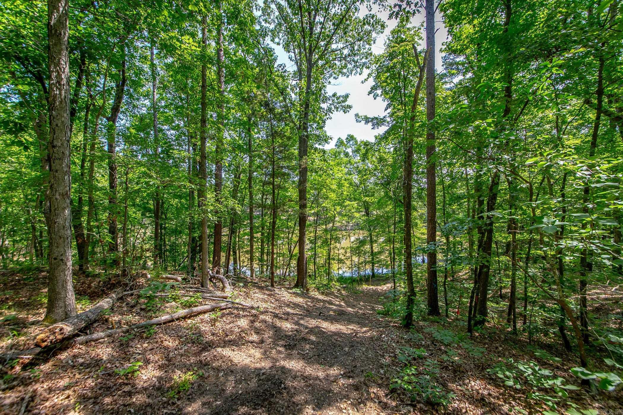 136 Private Road 1094  Fouke, AR