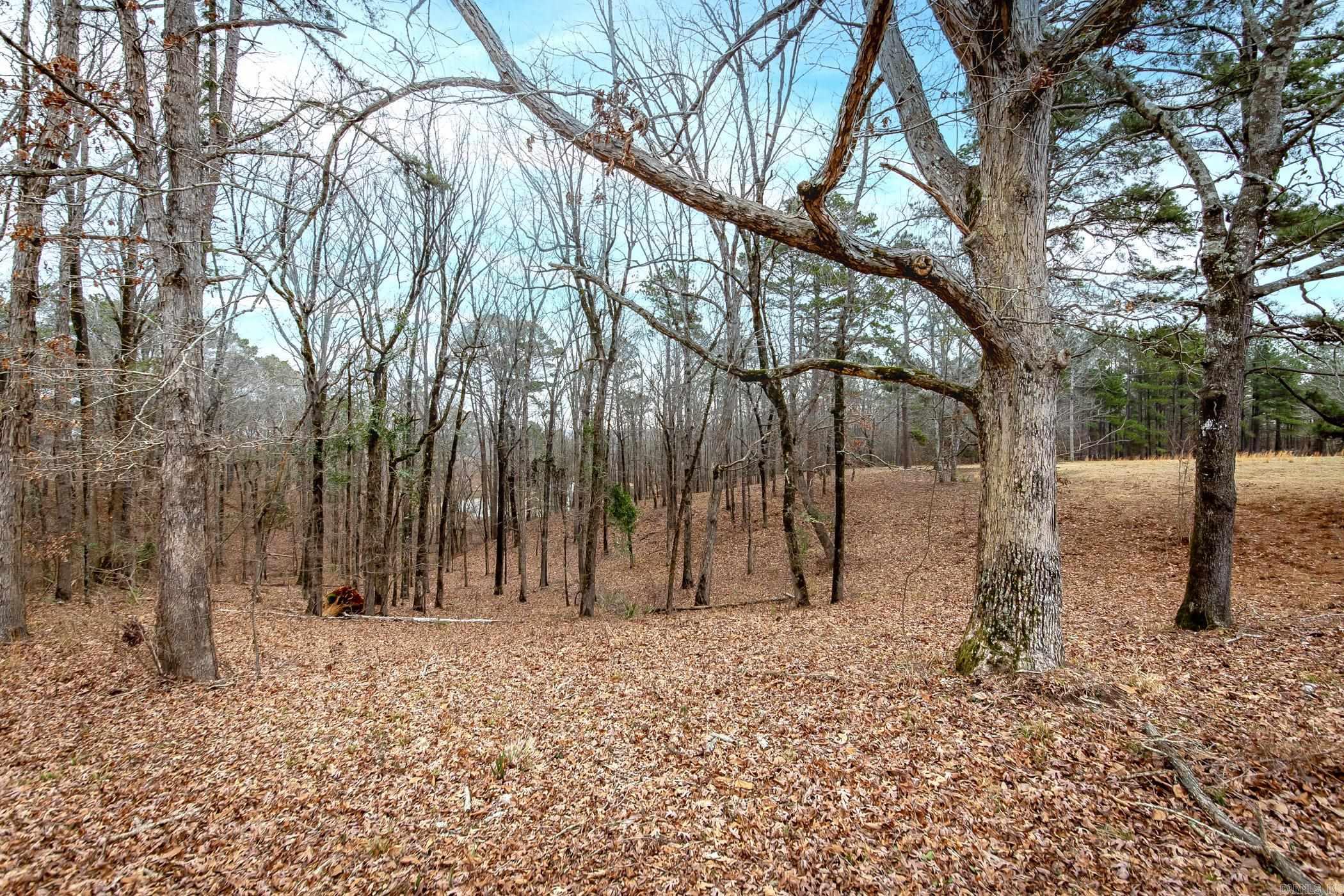 136  Private Road 1094  Fouke, AR