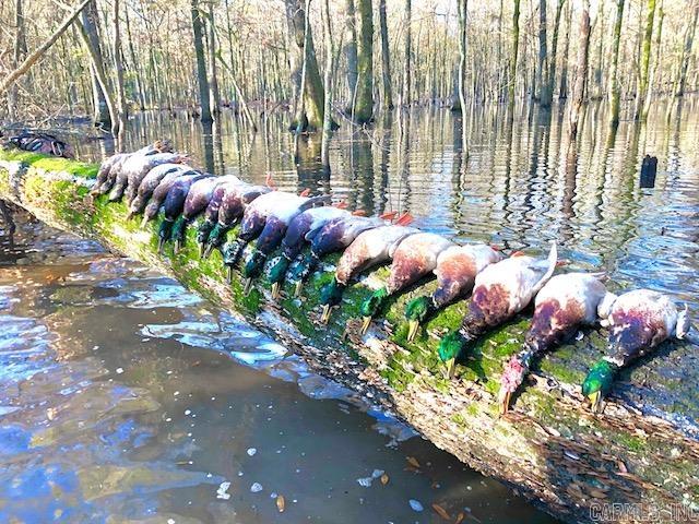 10 S Ives  Roe, AR