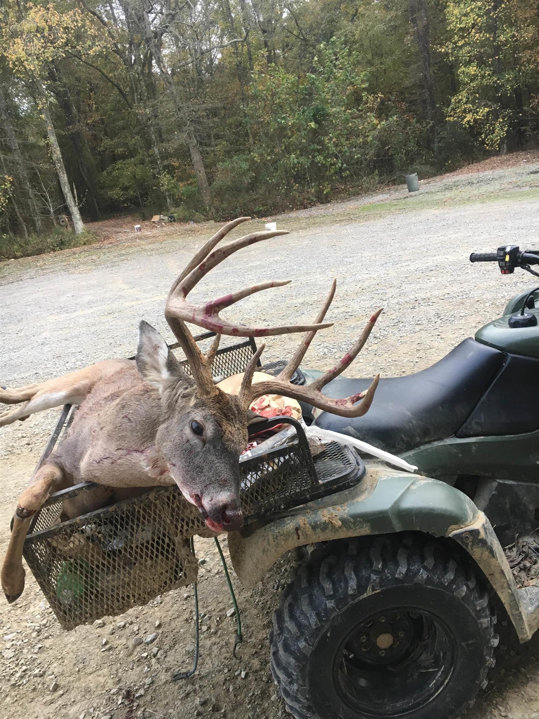 10 S Ives  Roe, AR