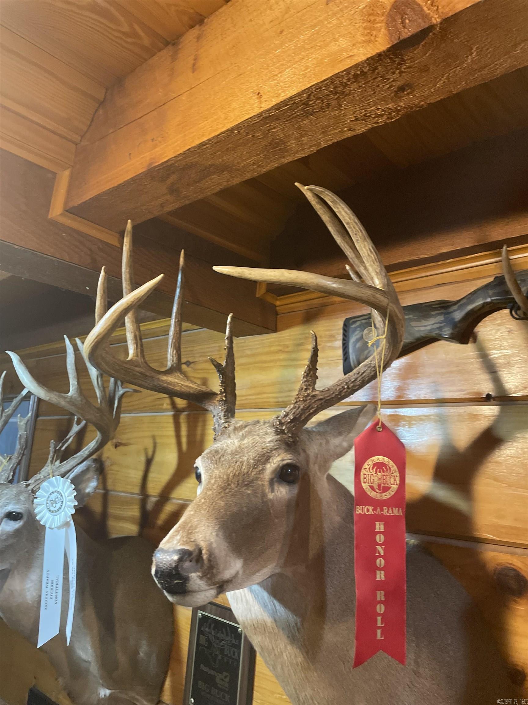 10 S Ives  Roe, AR