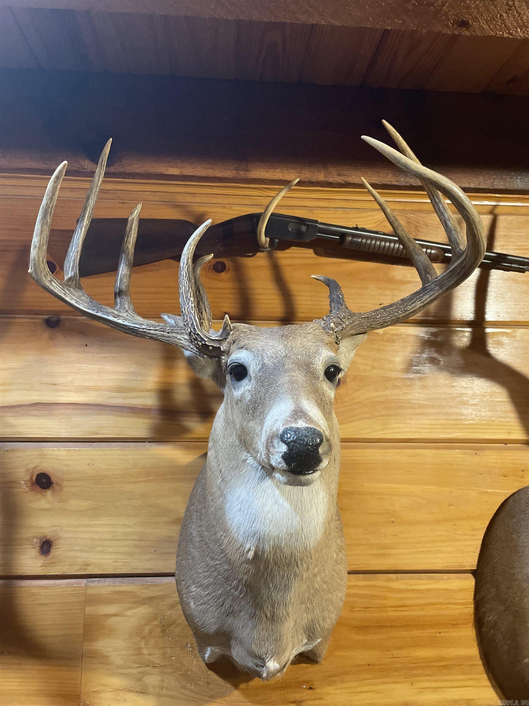 10 S Ives  Roe, AR
