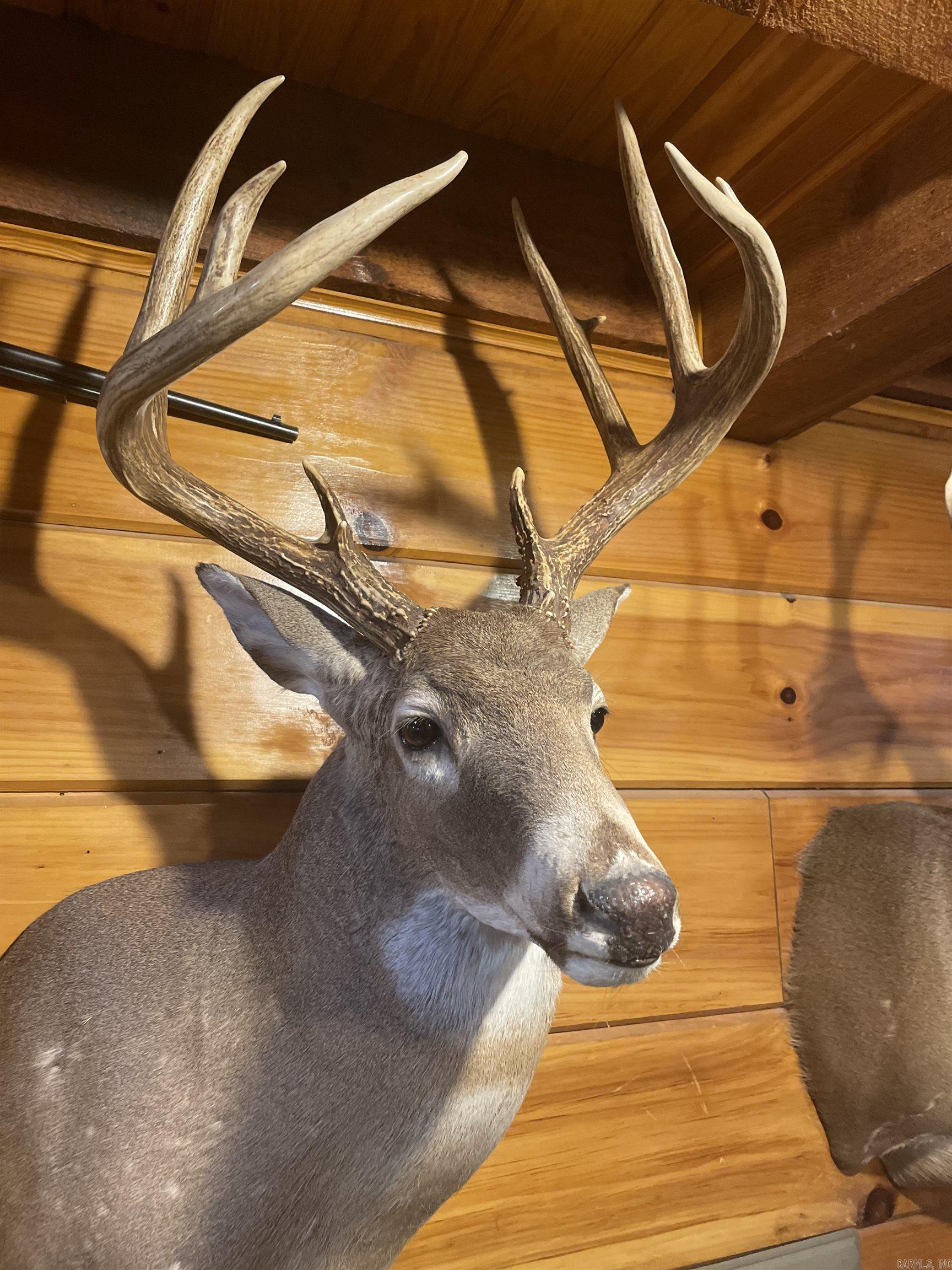 10 S Ives  Roe, AR
