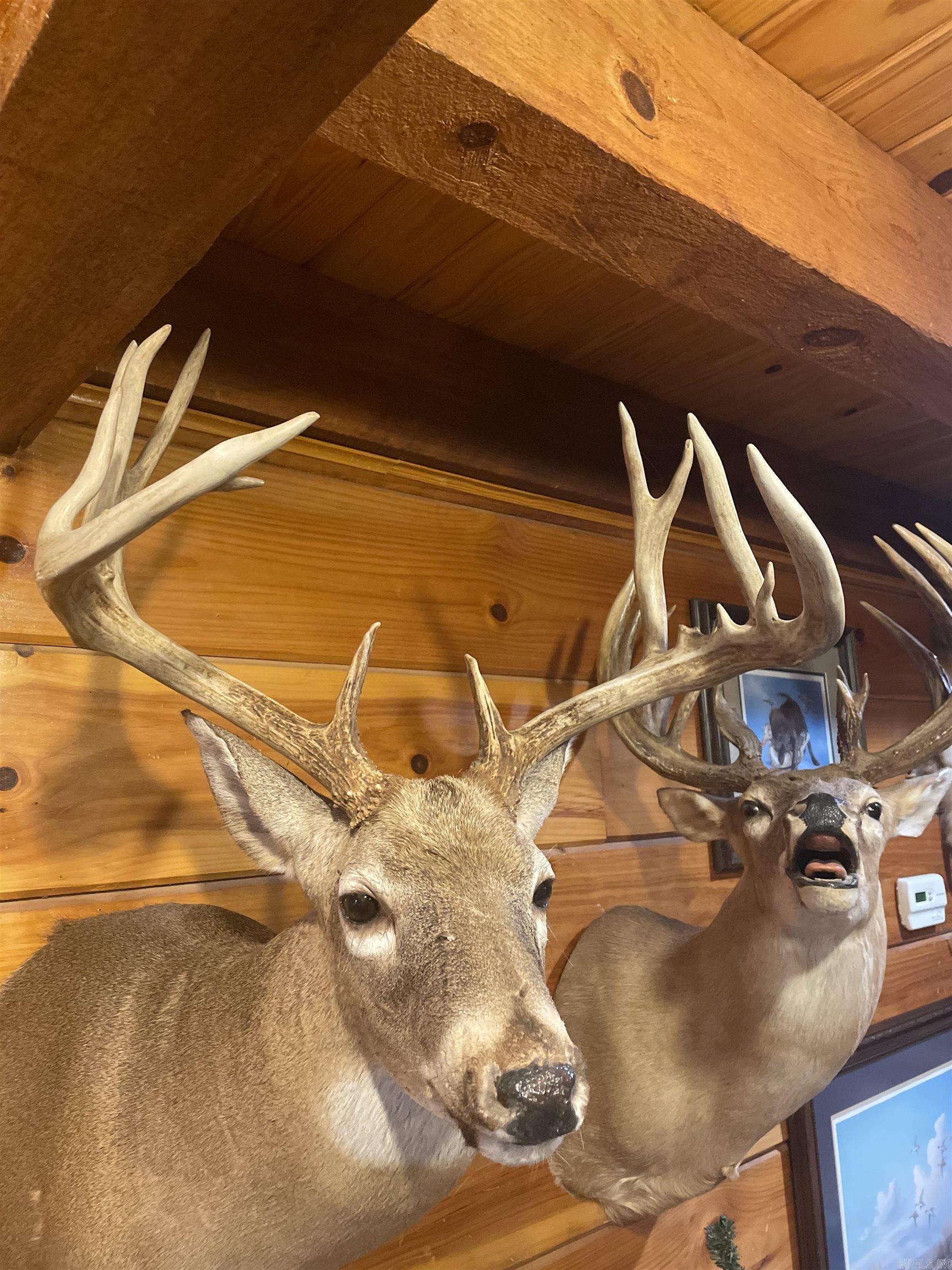 10 S Ives  Roe, AR