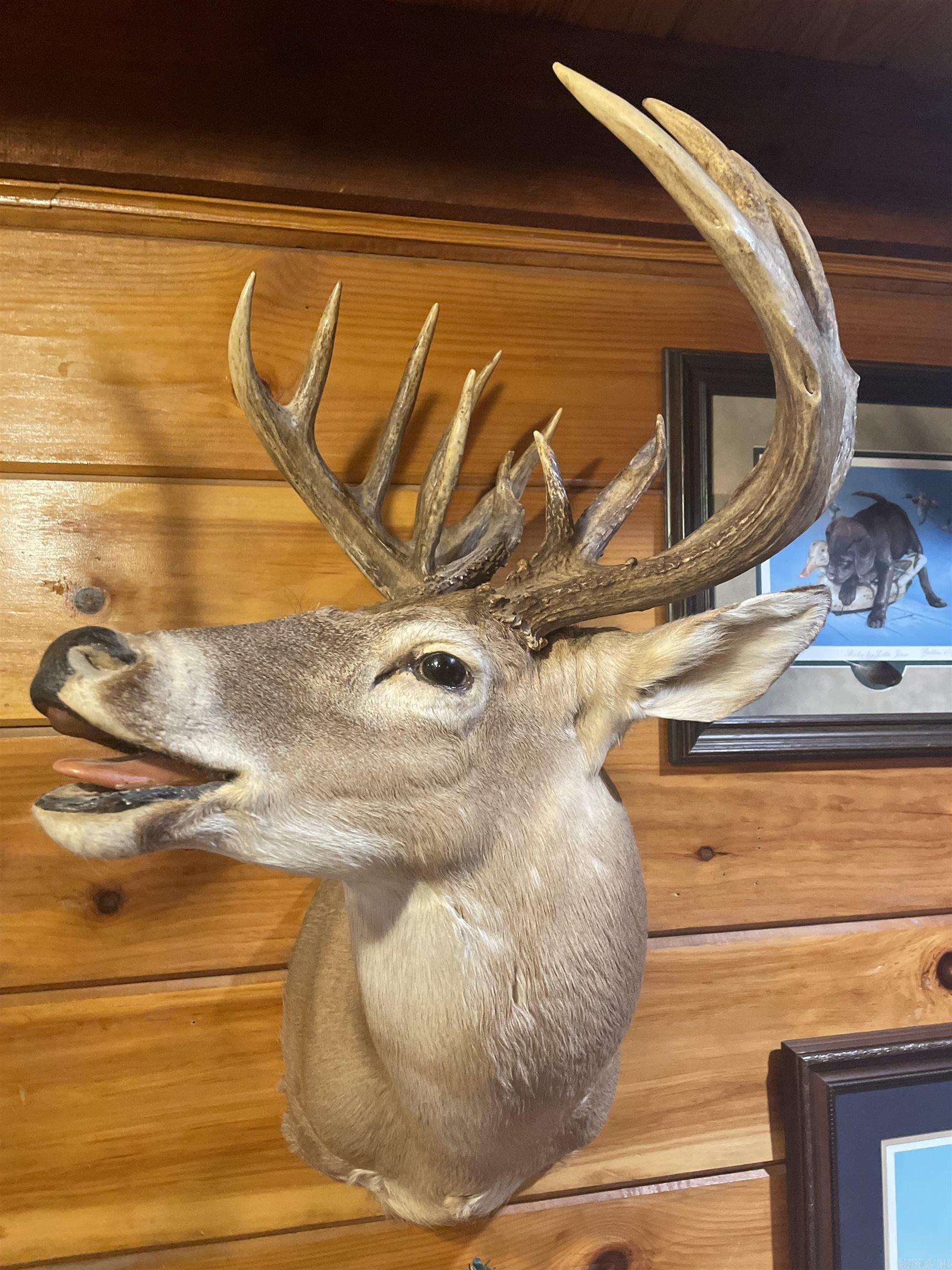 10 S Ives  Roe, AR