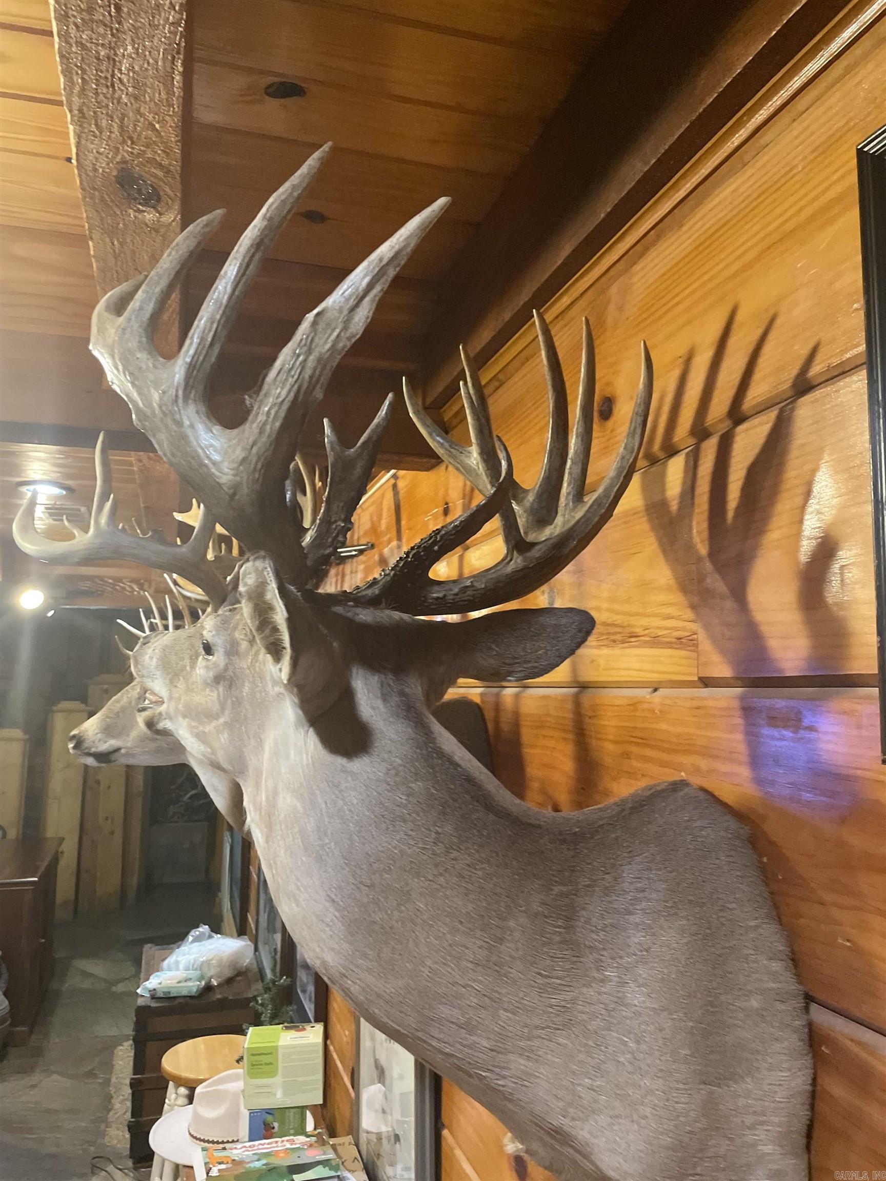 10 S Ives  Roe, AR
