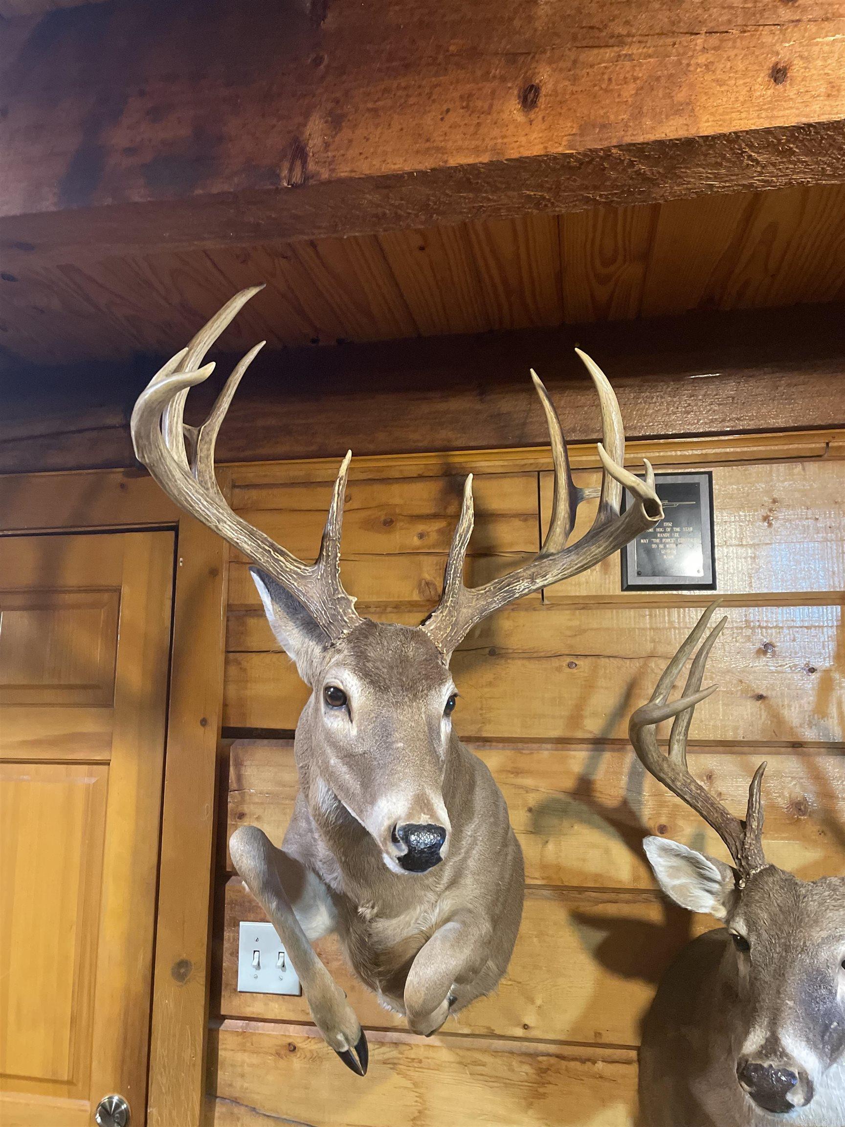 10 S Ives  Roe, AR