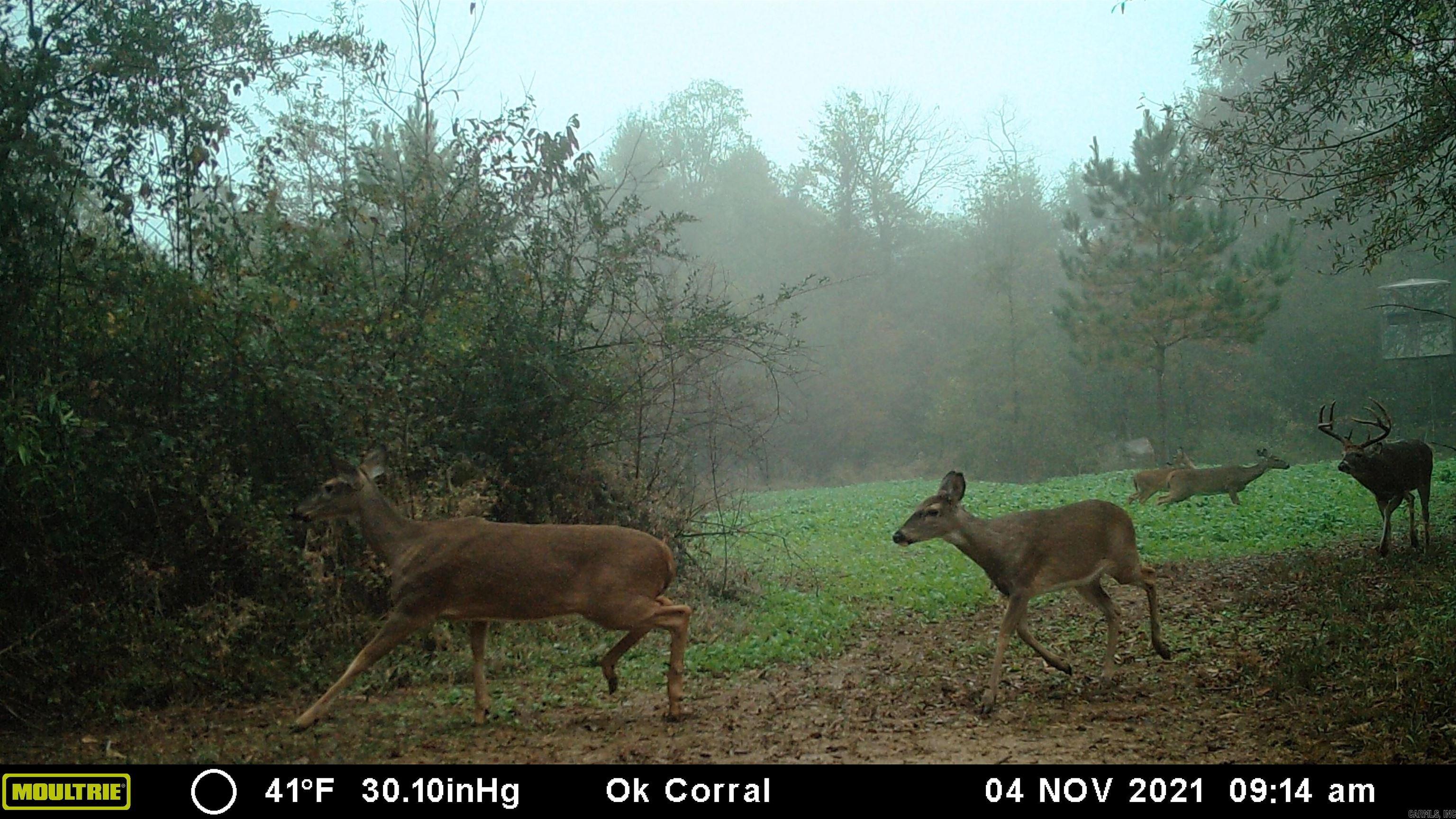 000  HWY 105  Atkins, AR