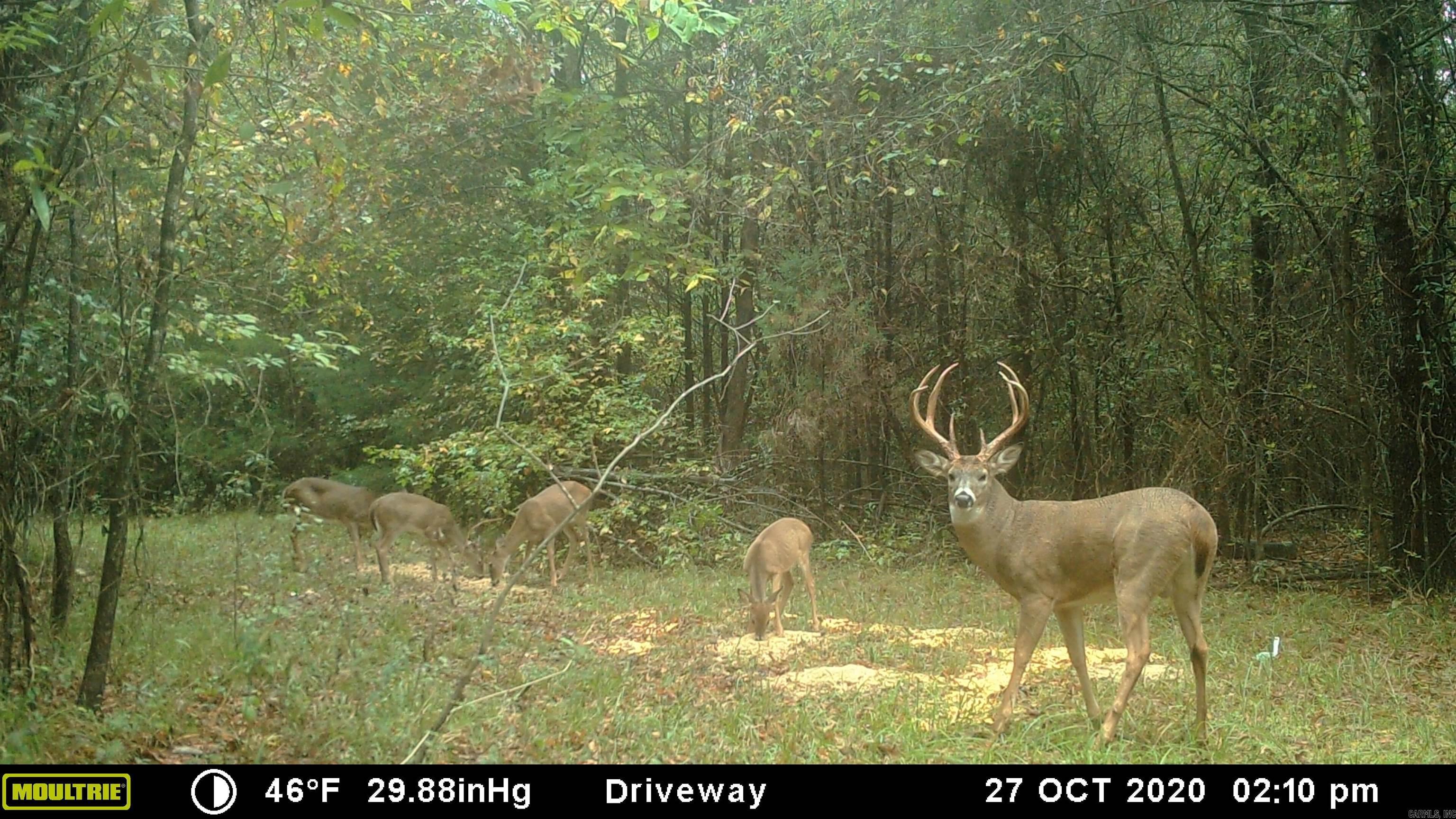 000  HWY 105  Atkins, AR