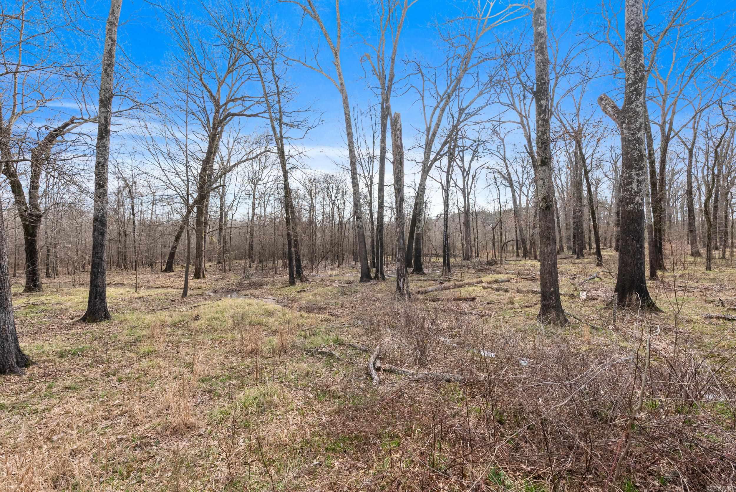 000  HWY 105  Atkins, AR