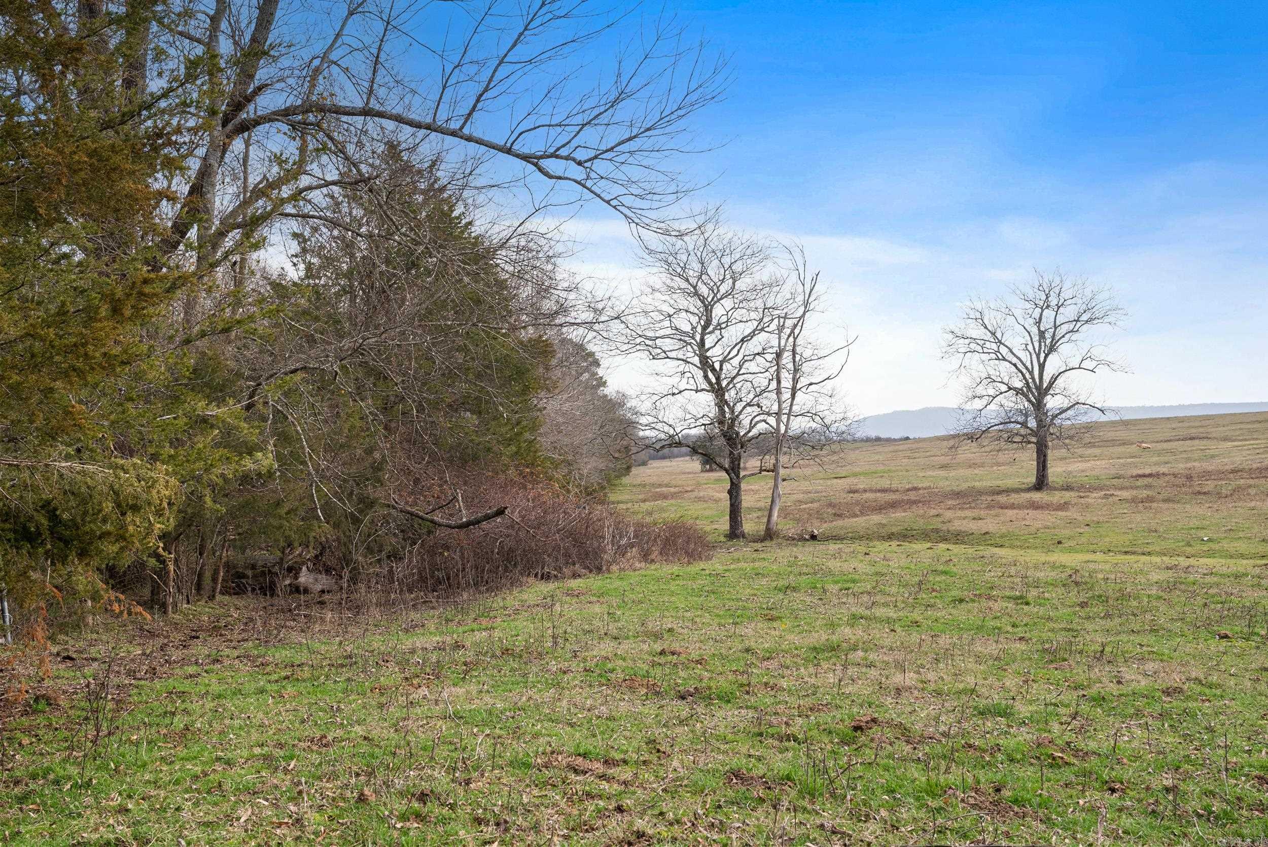 000  HWY 105  Atkins, AR
