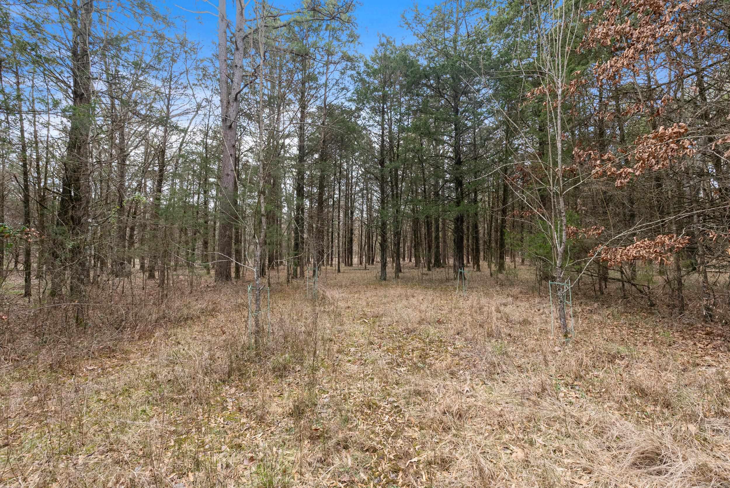 000  HWY 105  Atkins, AR