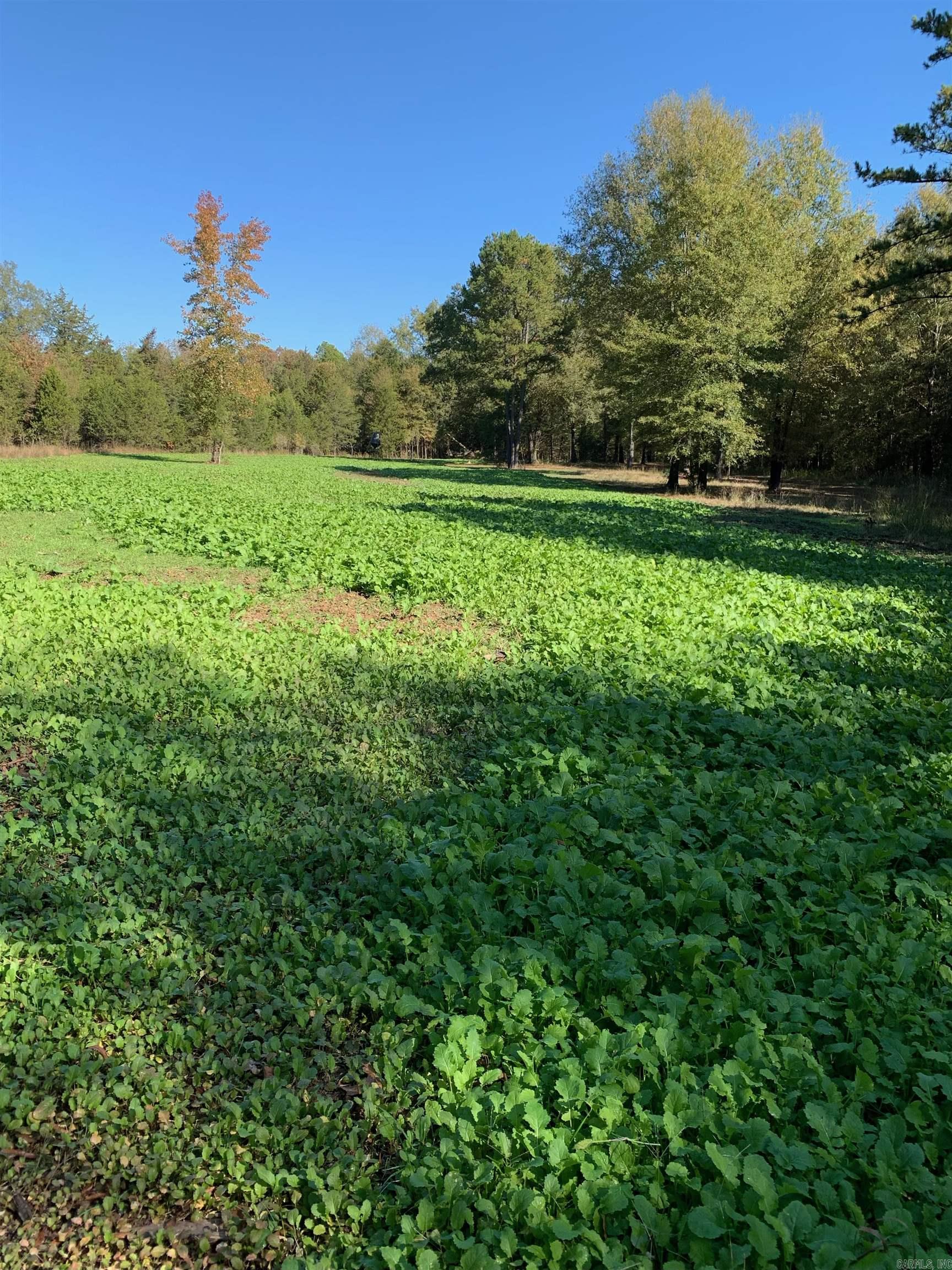 000  HWY 105  Atkins, AR