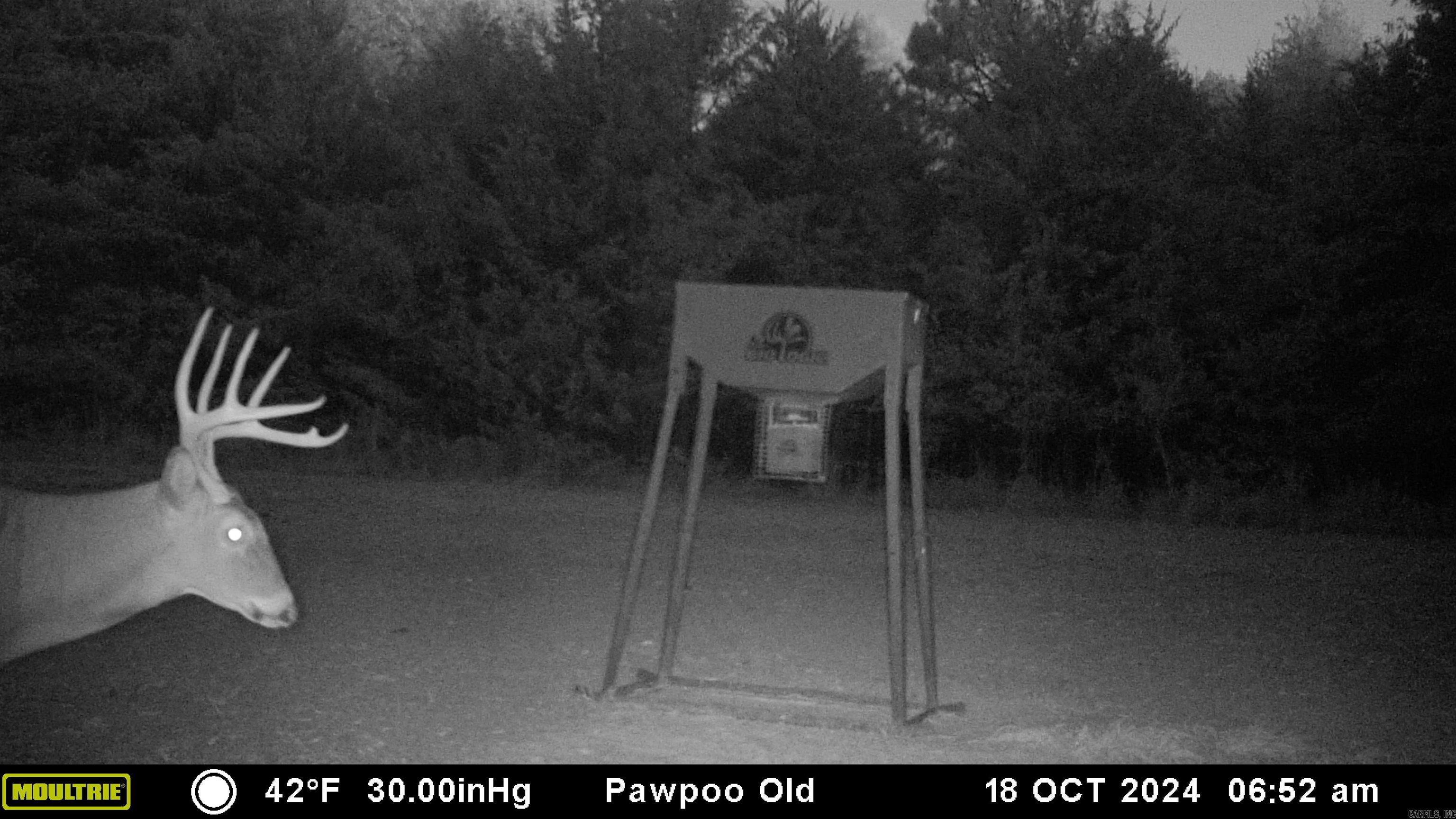 000  HWY 105  Atkins, AR