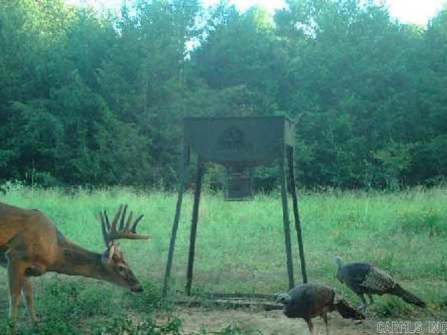 000  HWY 105  Atkins, AR