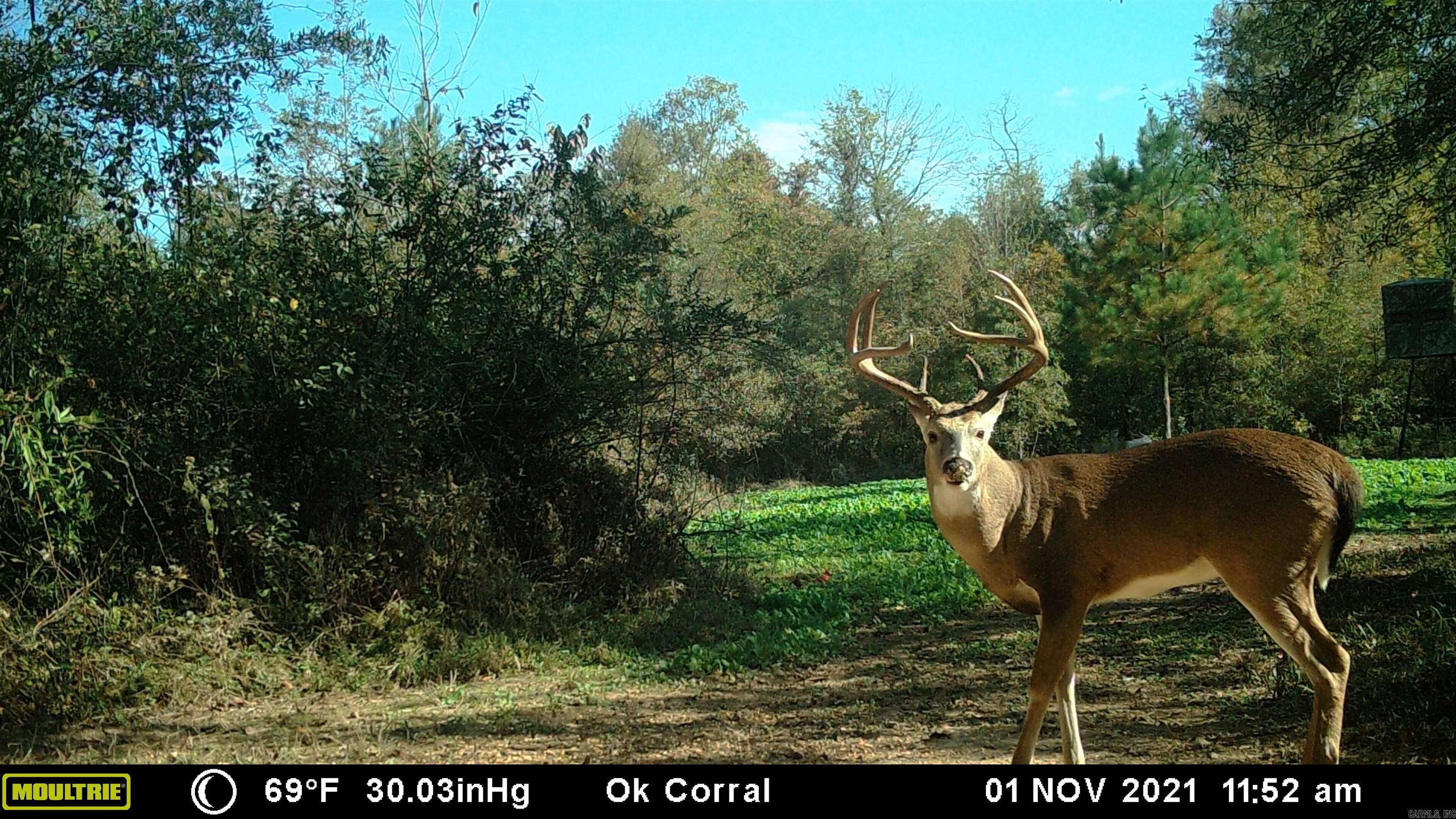 000  HWY 105  Atkins, AR