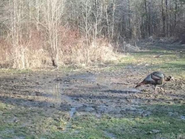 000  HWY 105  Atkins, AR