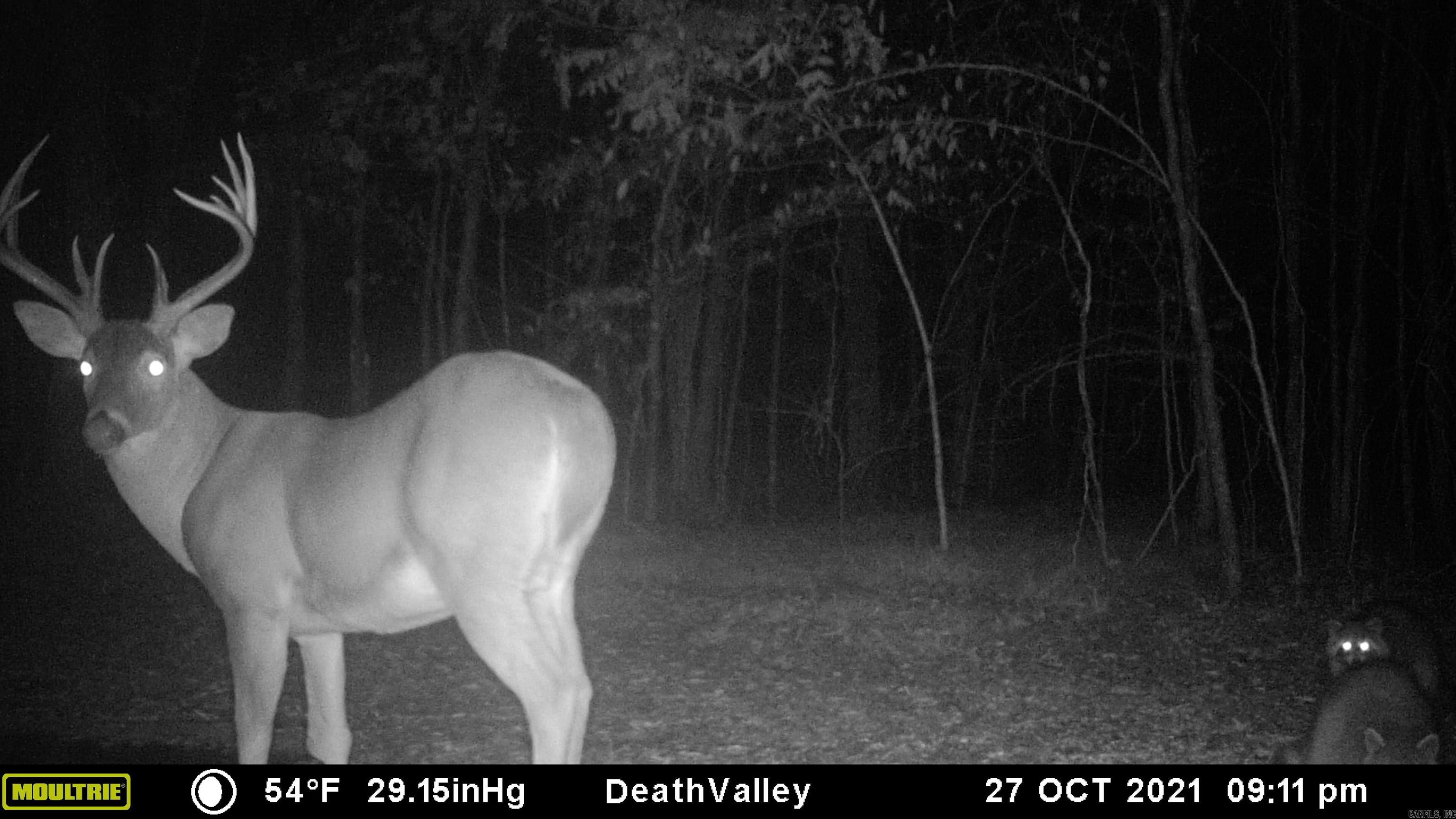 000  HWY 105  Atkins, AR
