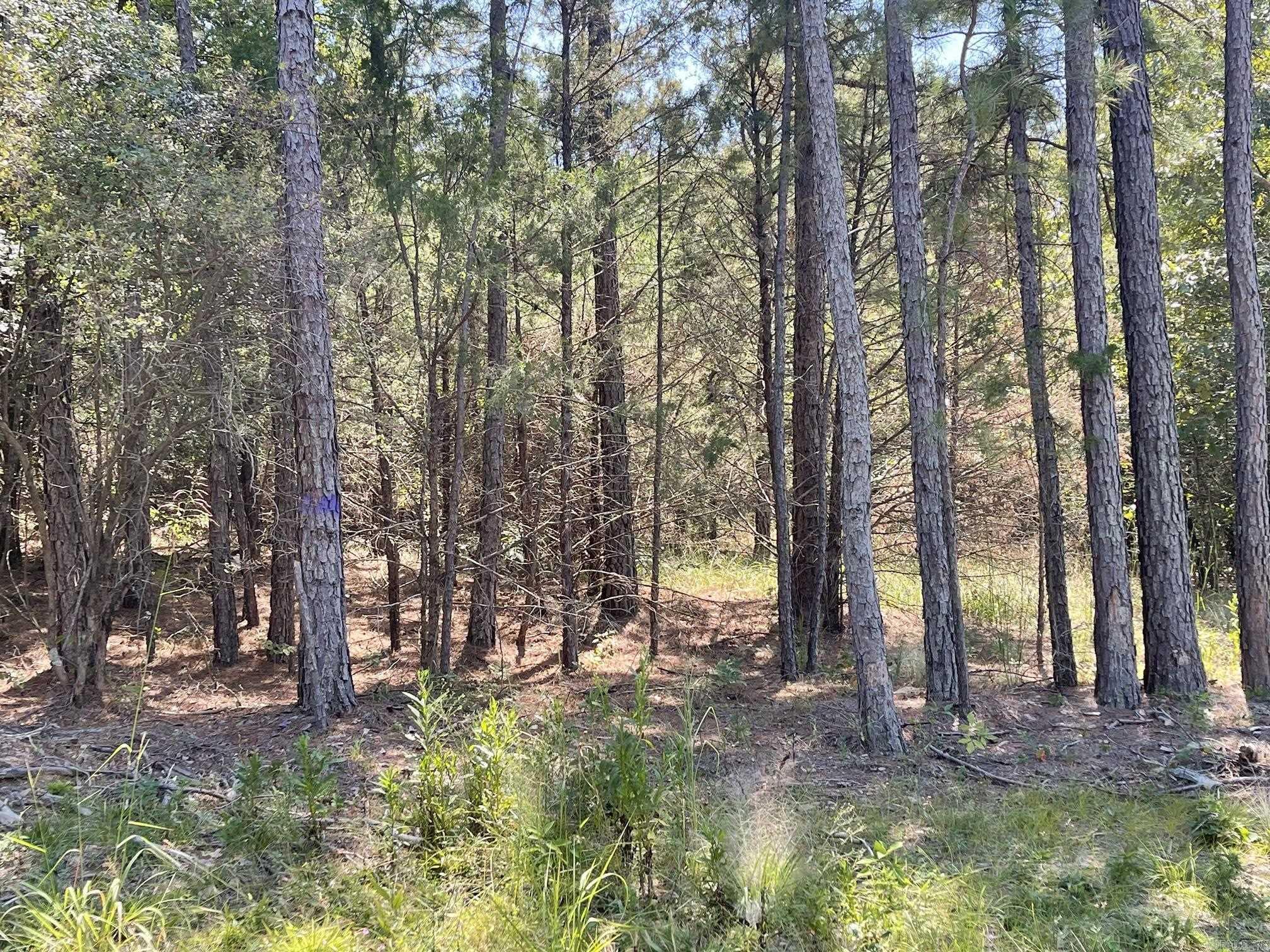 0  Shelby LN  Romance, AR