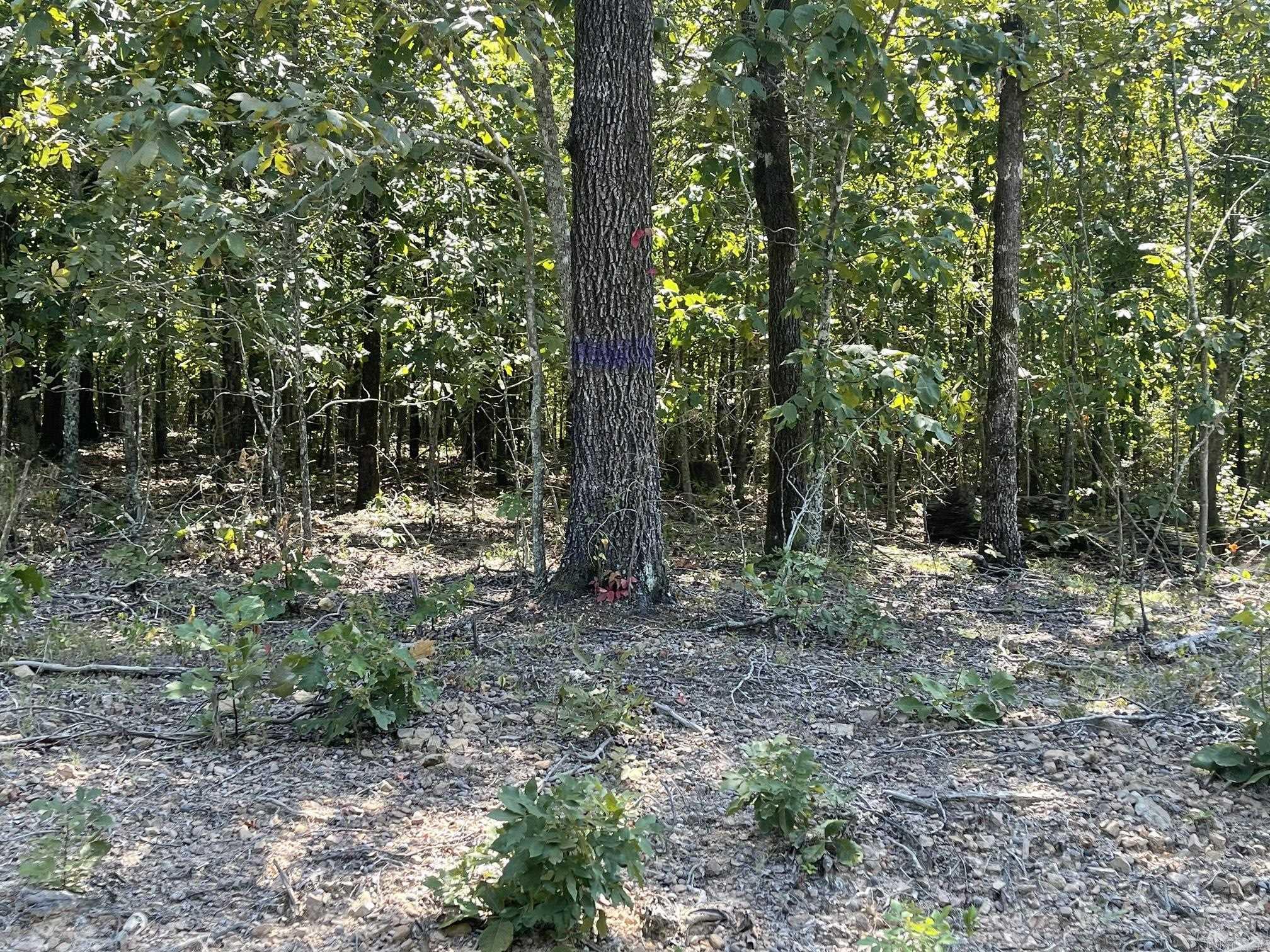 0  Shelby LN  Romance, AR