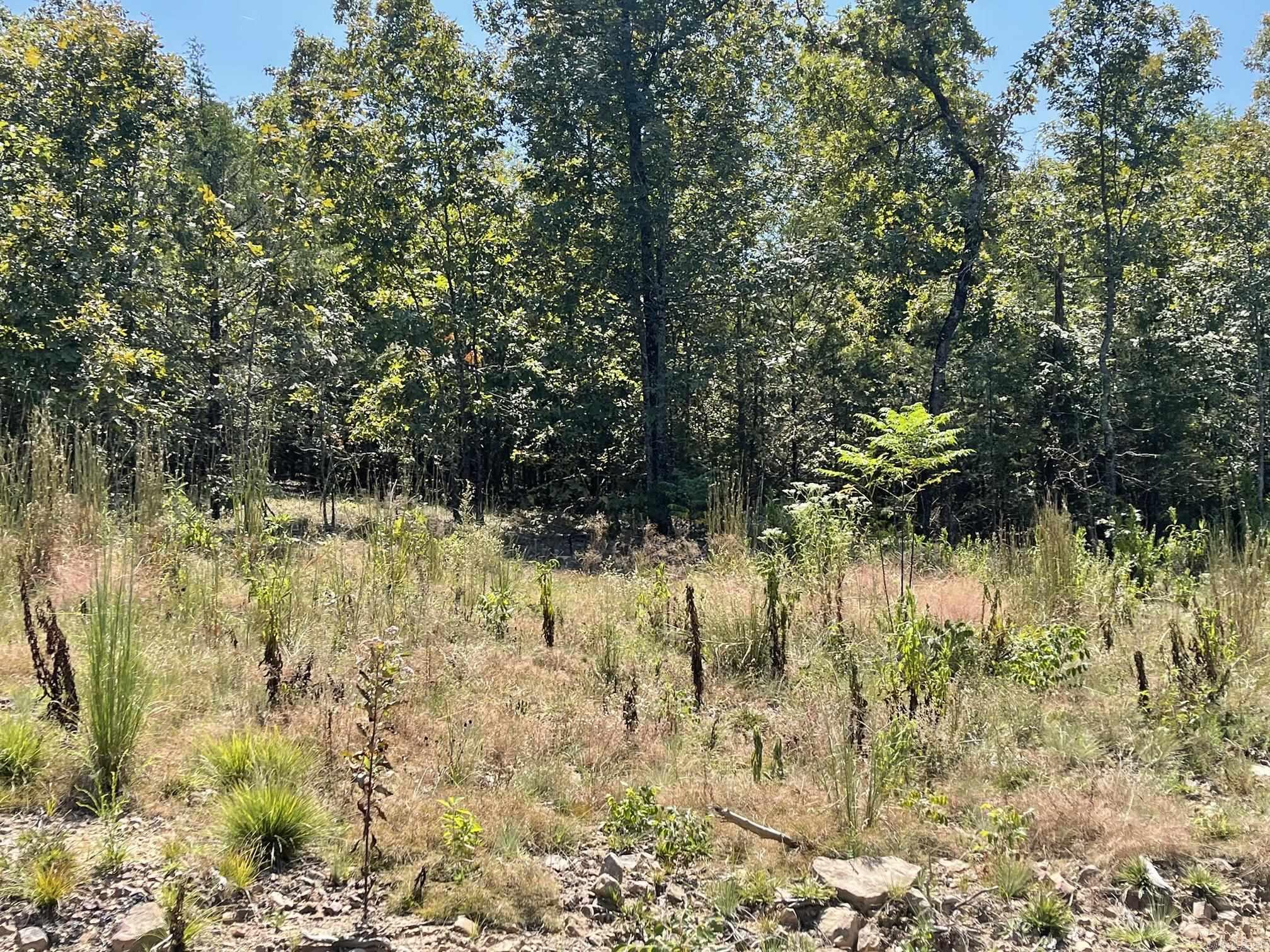 0  Shelby LN  Romance, AR