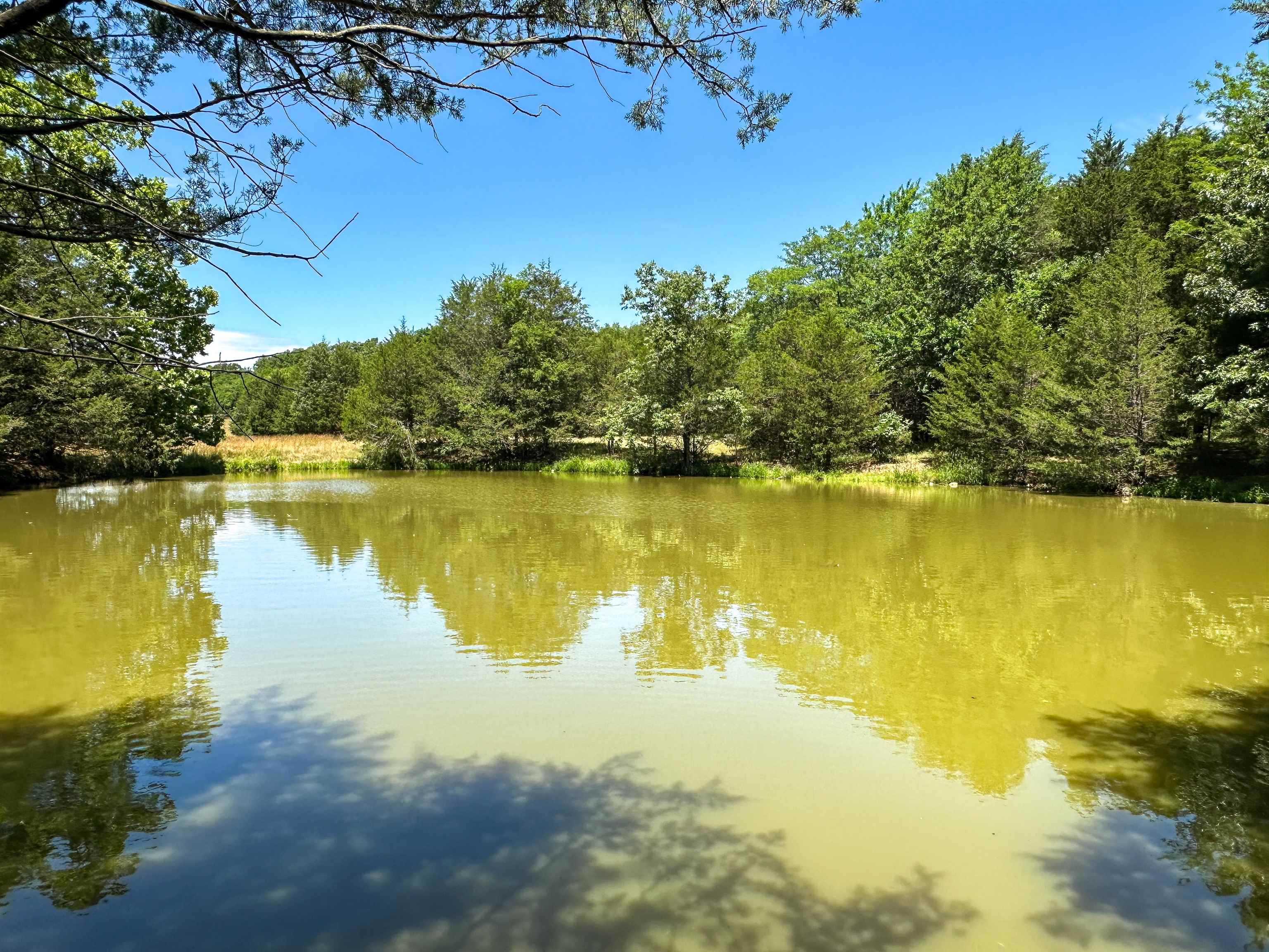 4115  Johnson View  Wiseman, AR