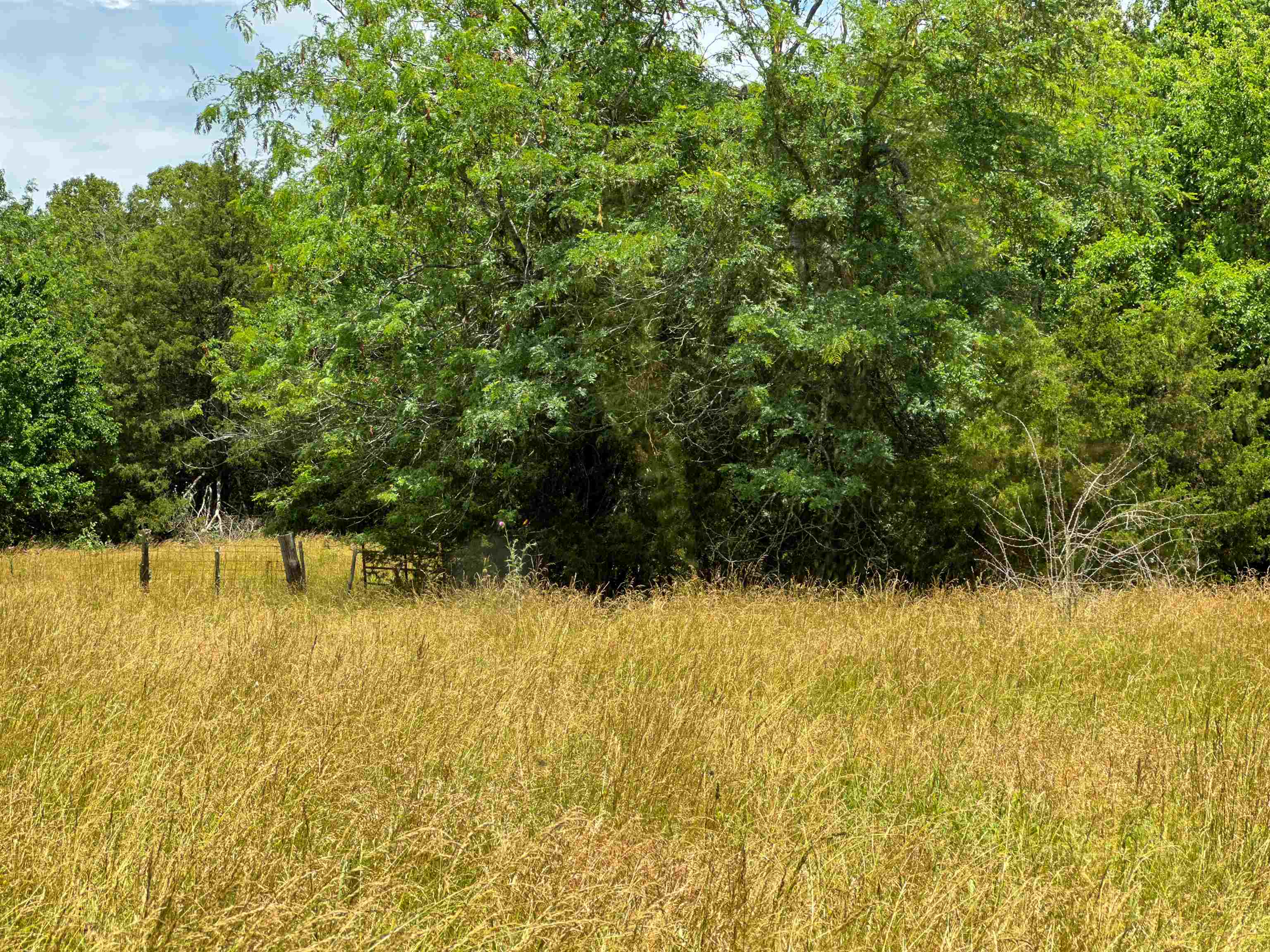 4115  Johnson View  Wiseman, AR