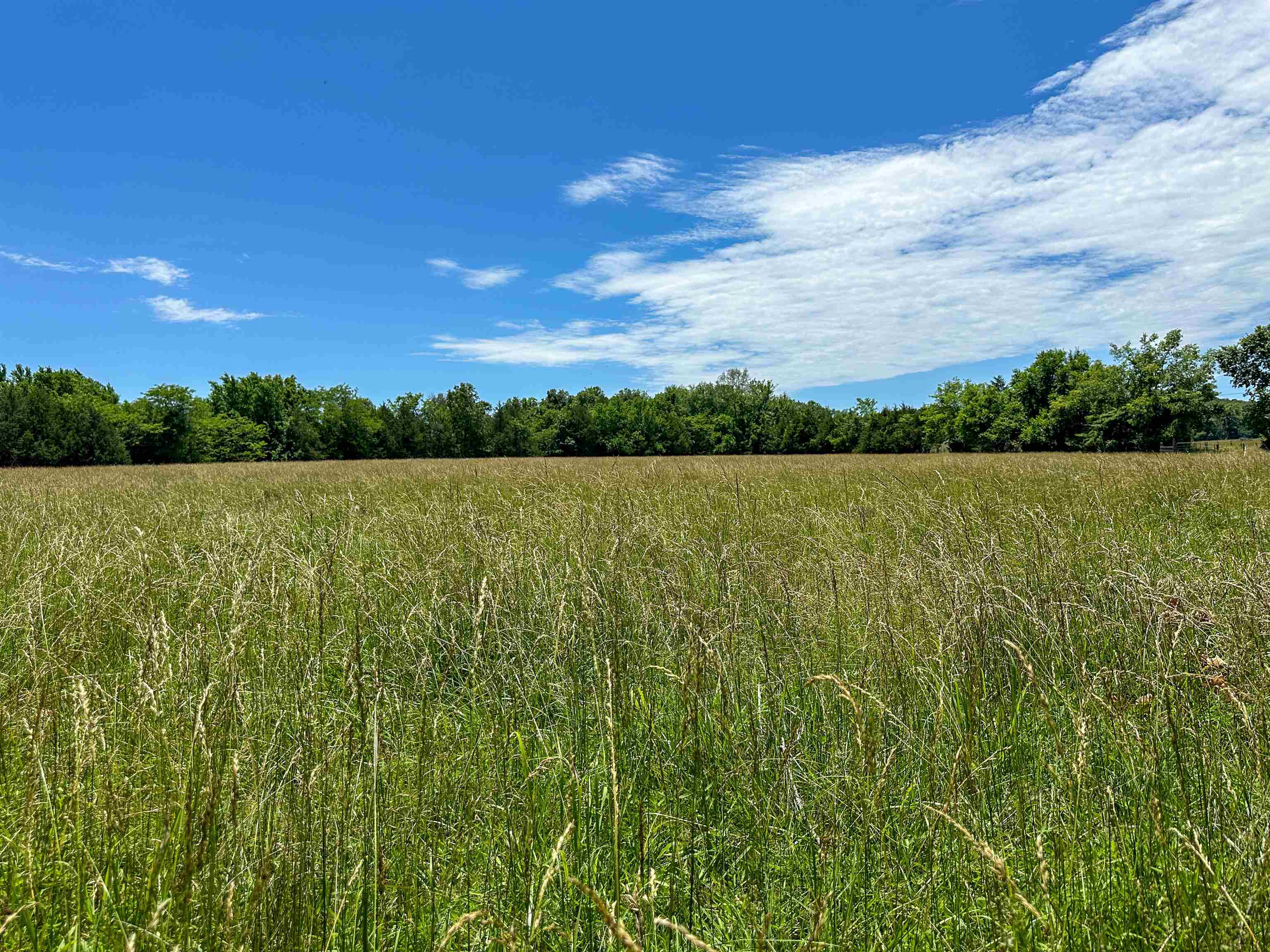 4115  Johnson View  Wiseman, AR