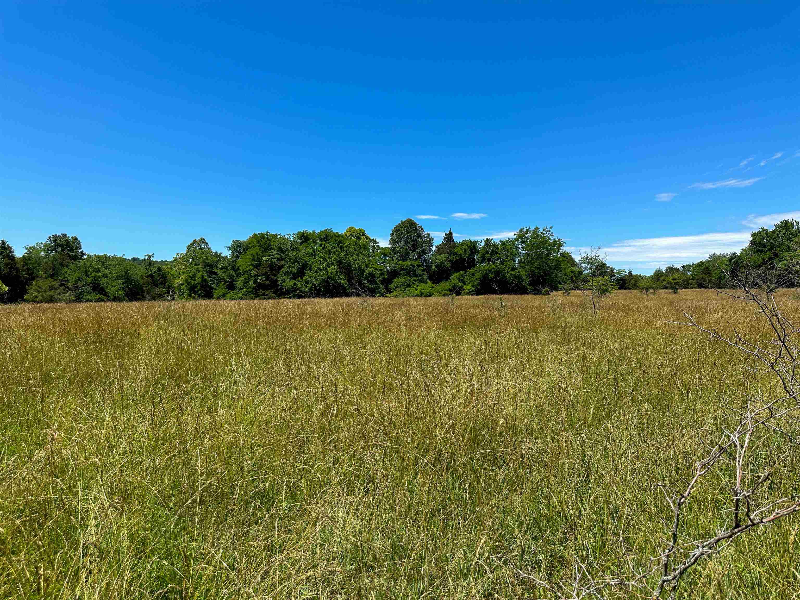 4115  Johnson View  Wiseman, AR